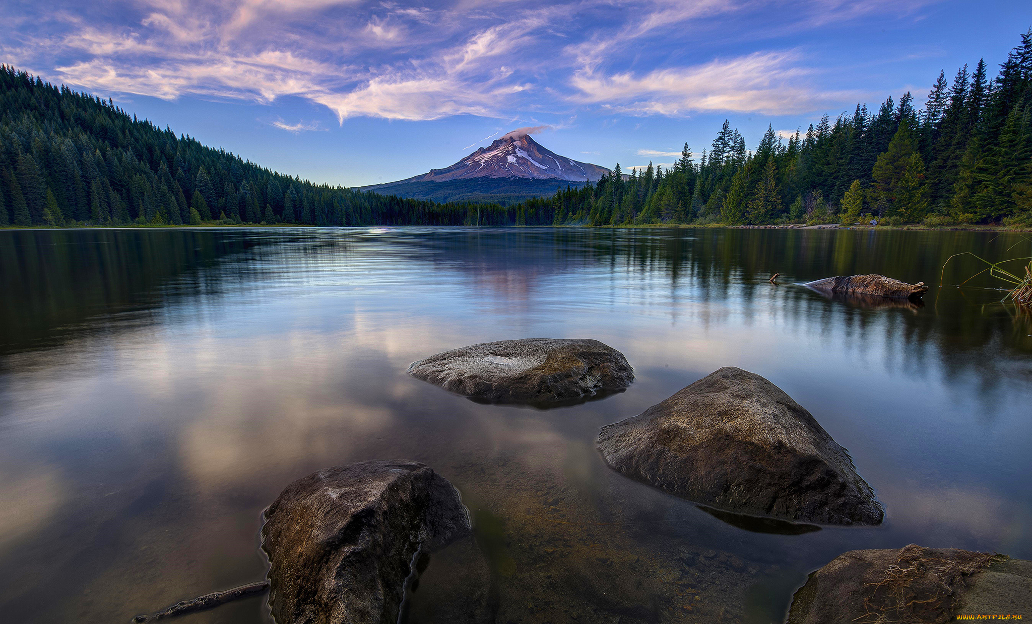 природа, реки, озера, лес, река