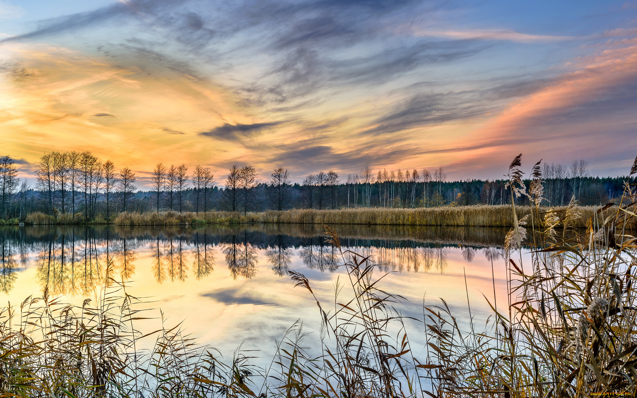 природа, реки, озера, лес, река