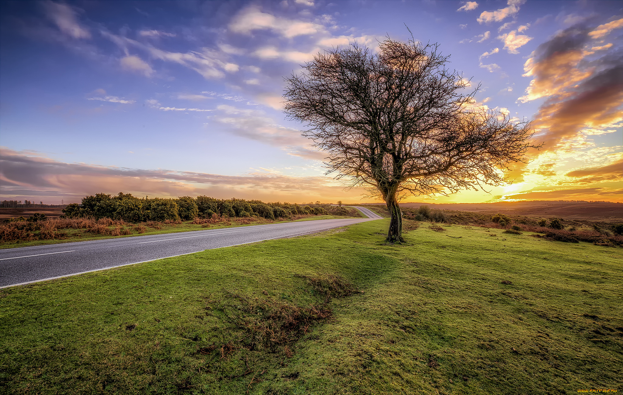 природа, дороги, тракт