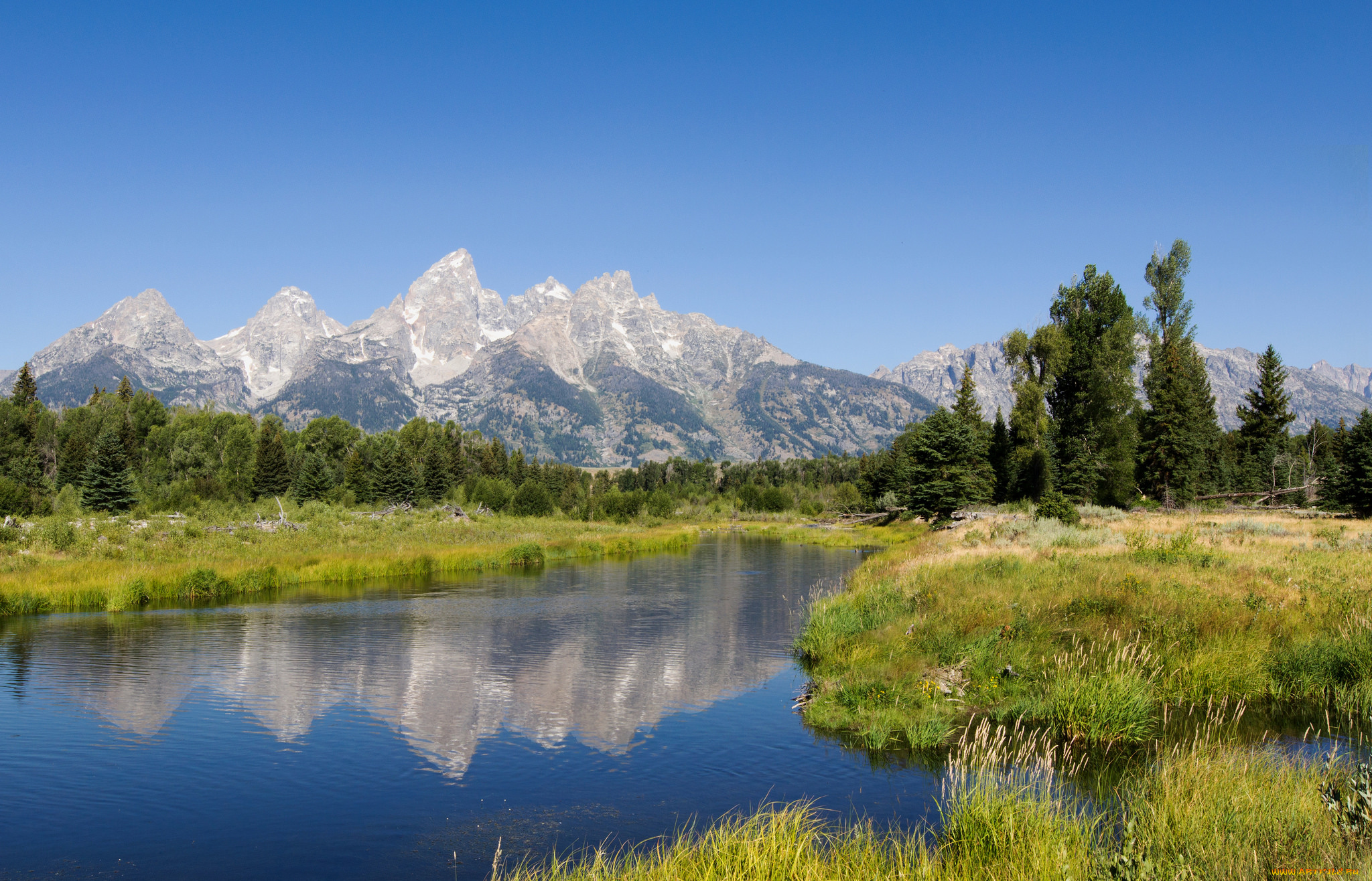 природа, реки, озера, река, лес