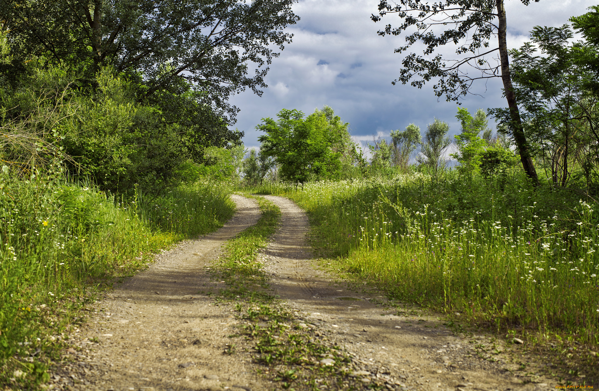 природа, дороги, тракт