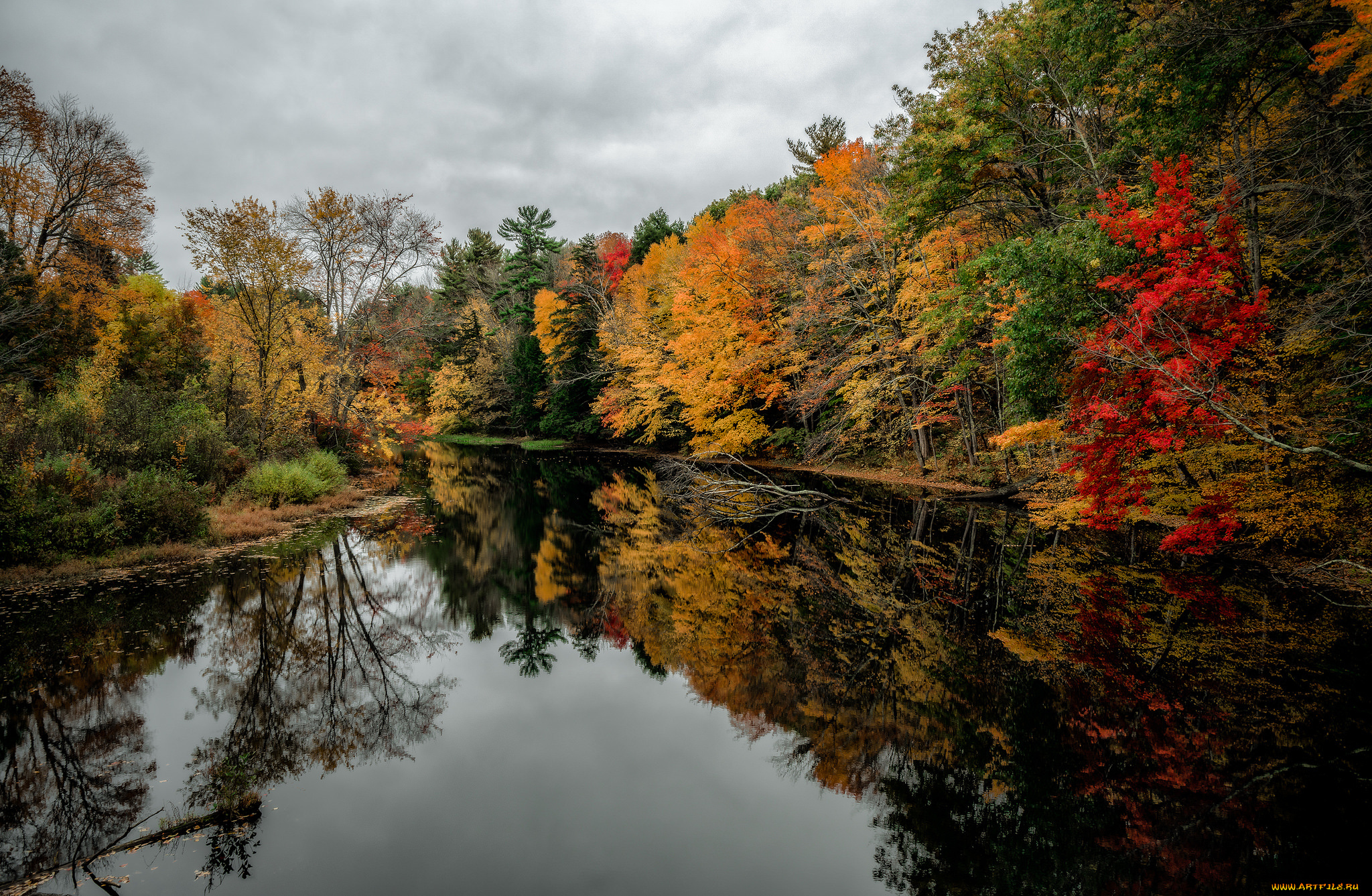 природа, реки, озера, река, лес