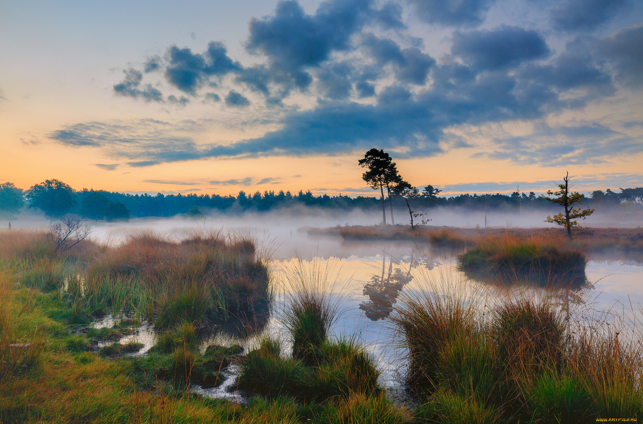 природа, реки, озера, лес, река