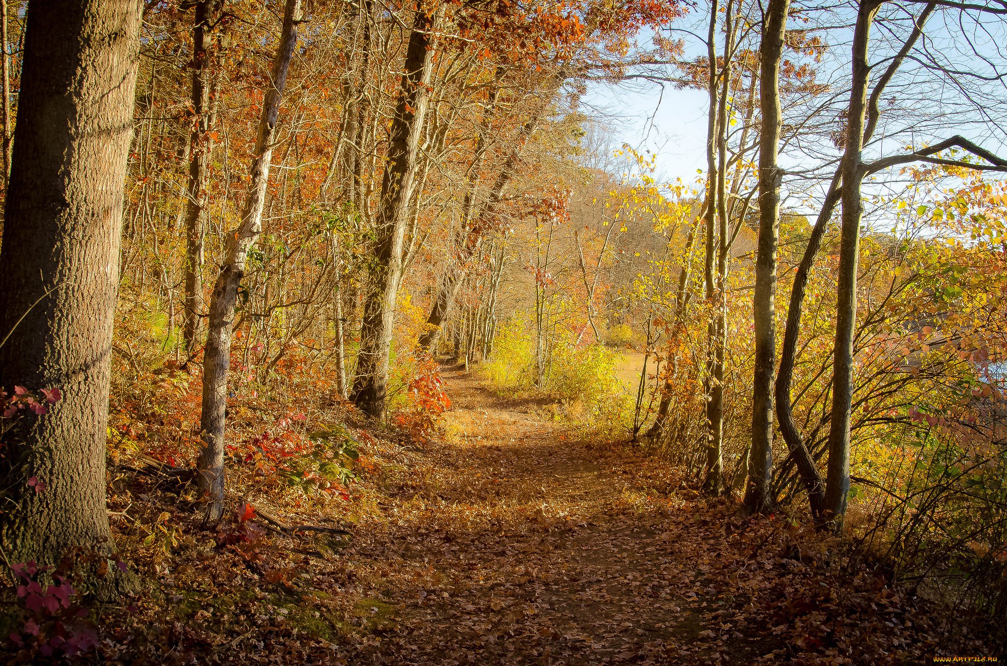 природа, дороги, тракт