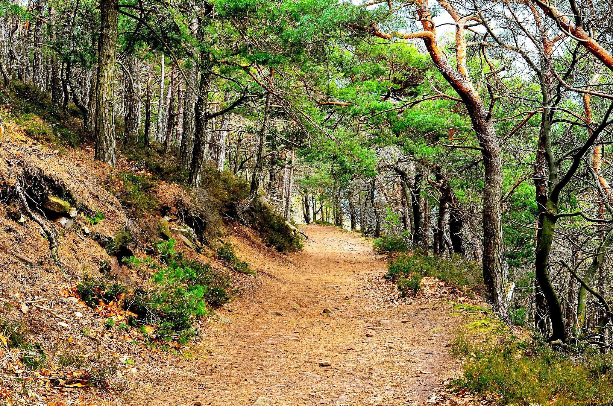 природа, дороги, тракт