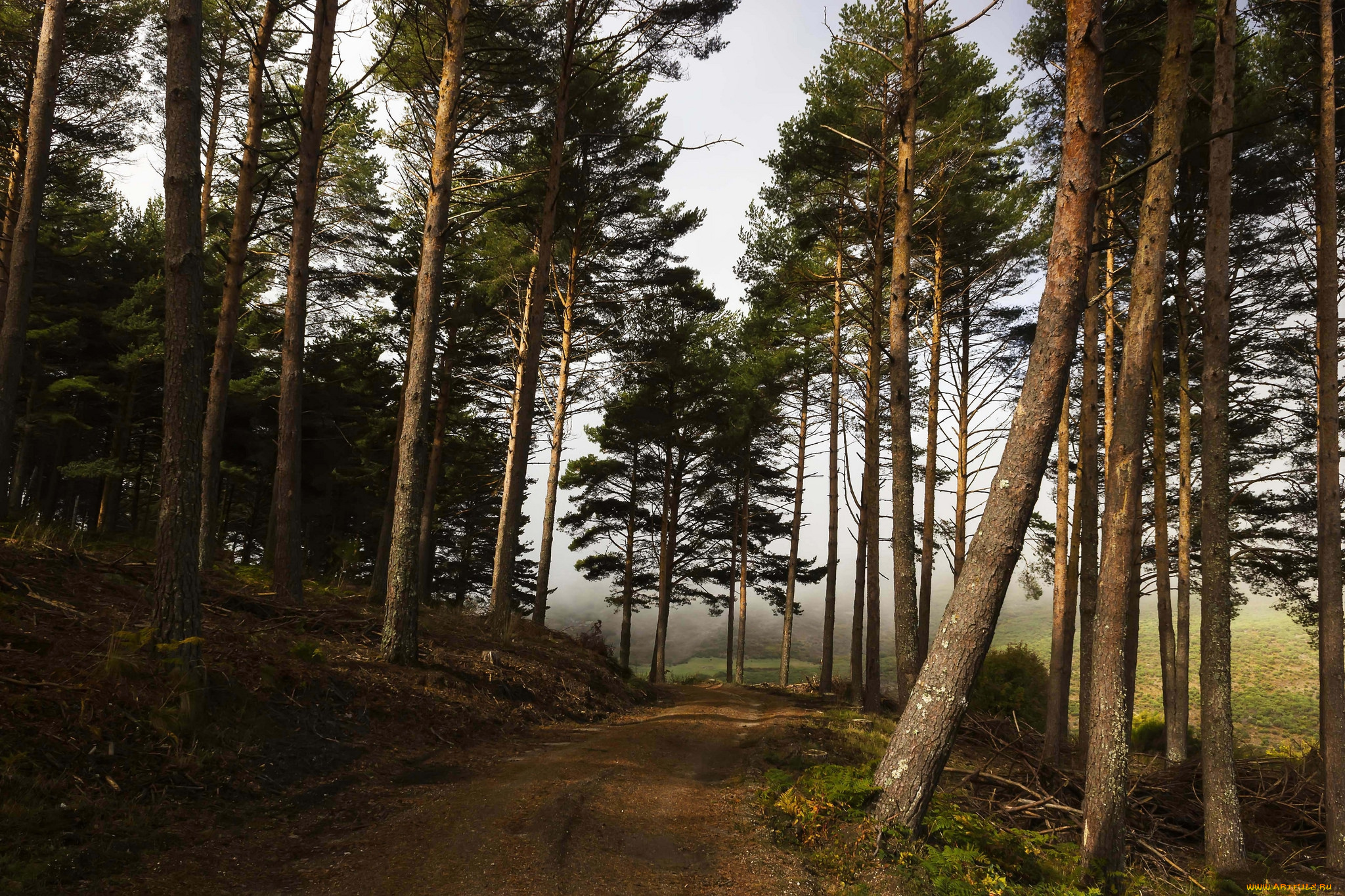 природа, дороги, тракт