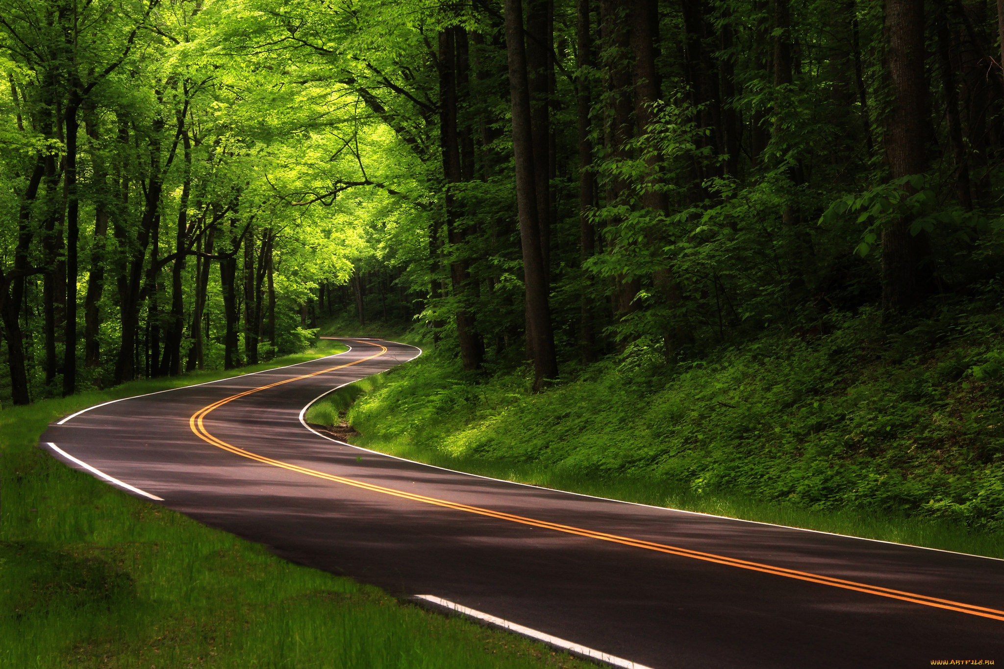 природа, дороги, тракт