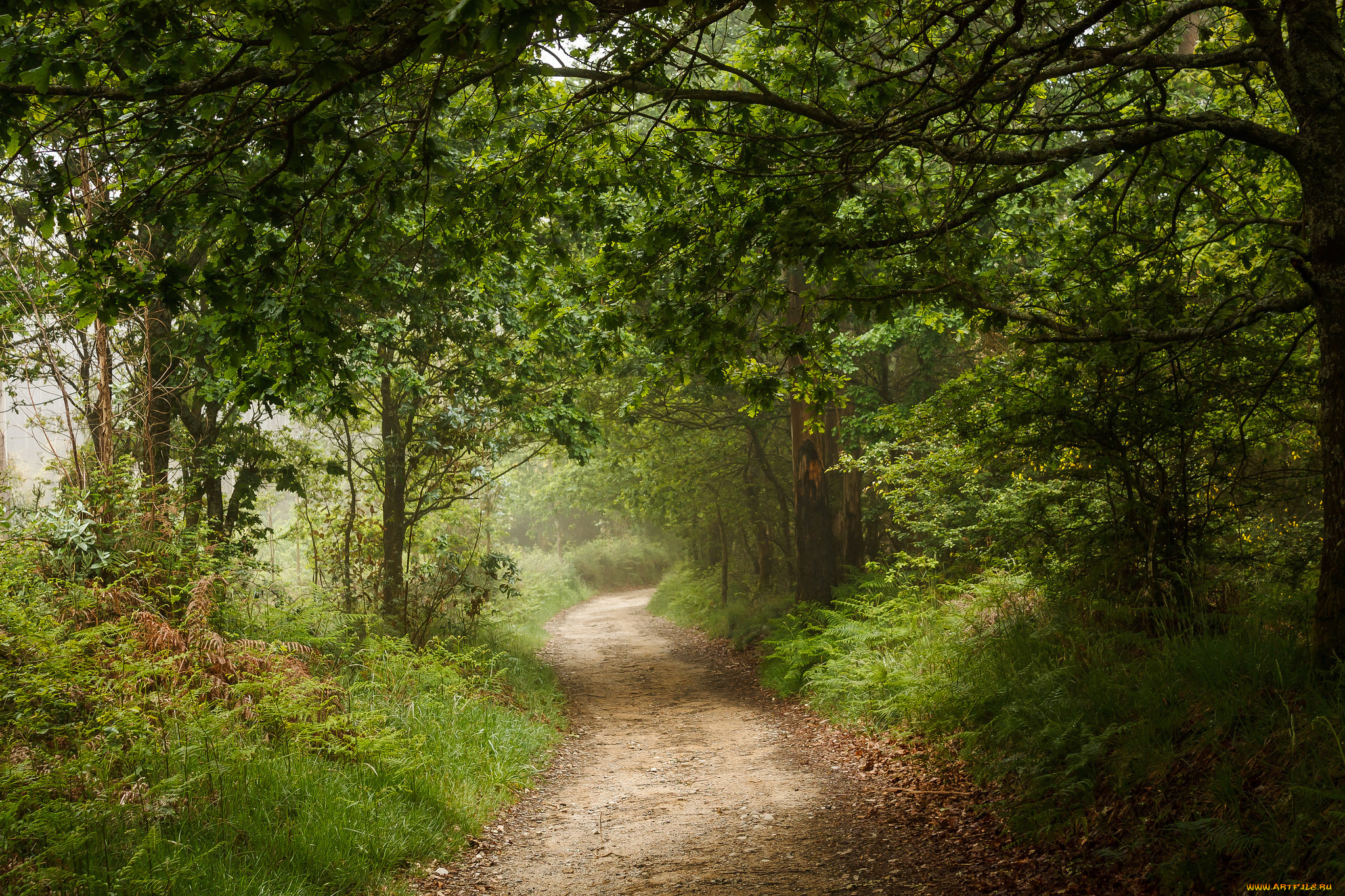 природа, дороги, тракт