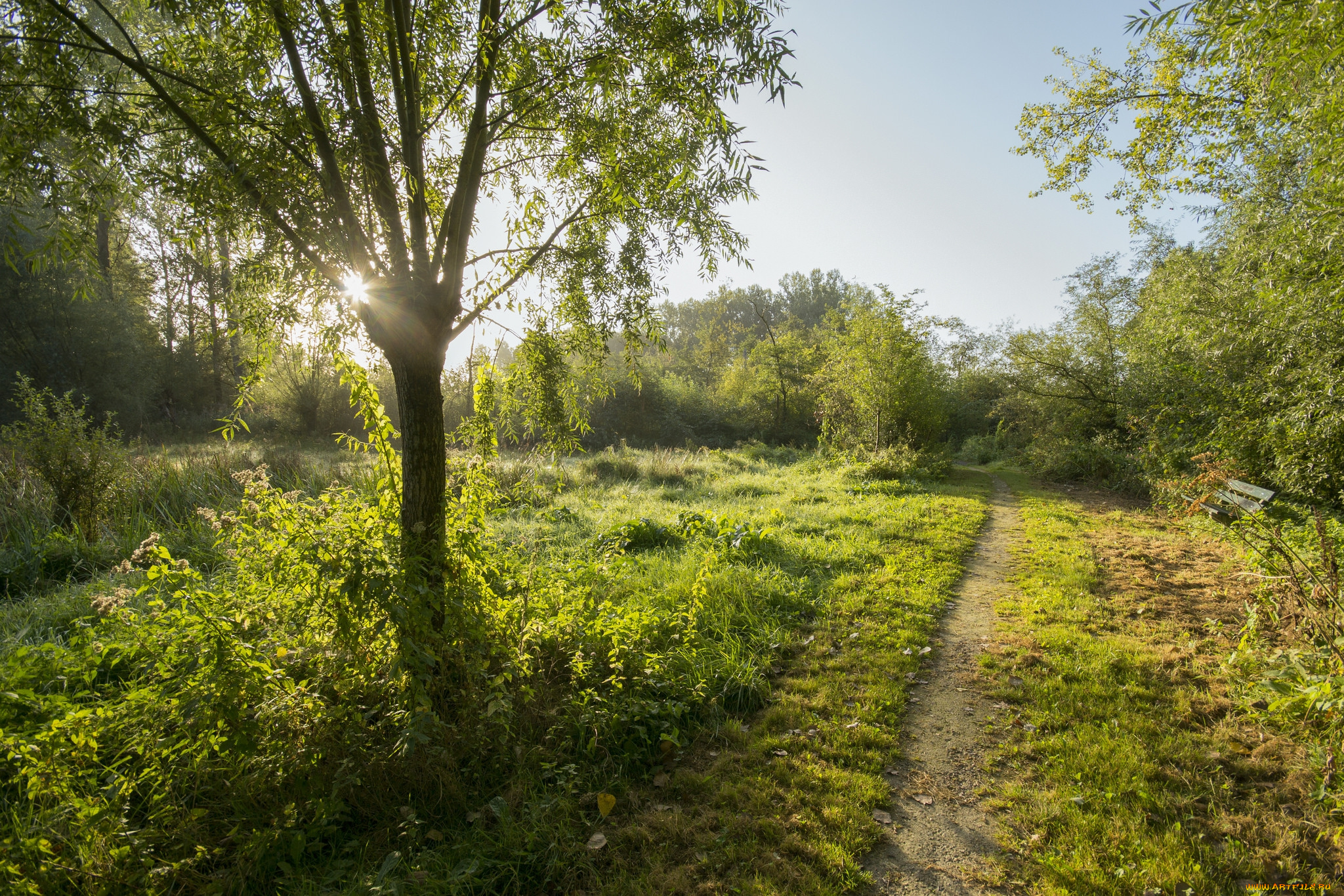 природа, дороги, тракт