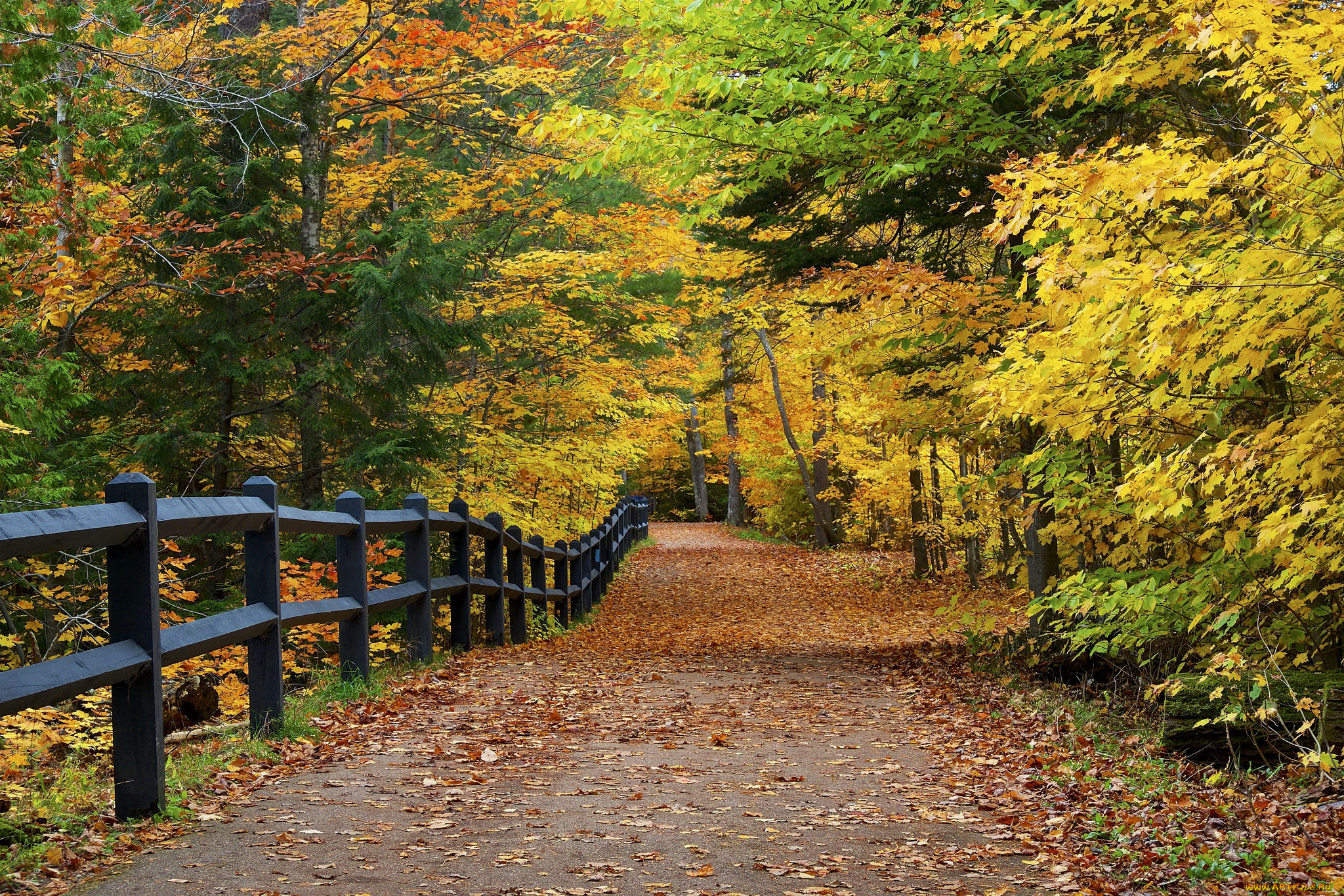 природа, дороги, тракт