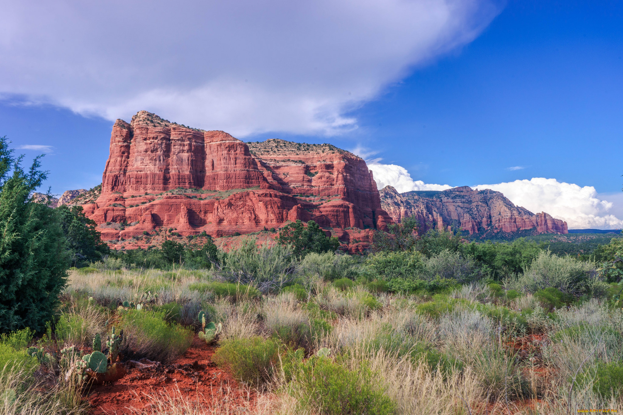 природа, пустыни, простор