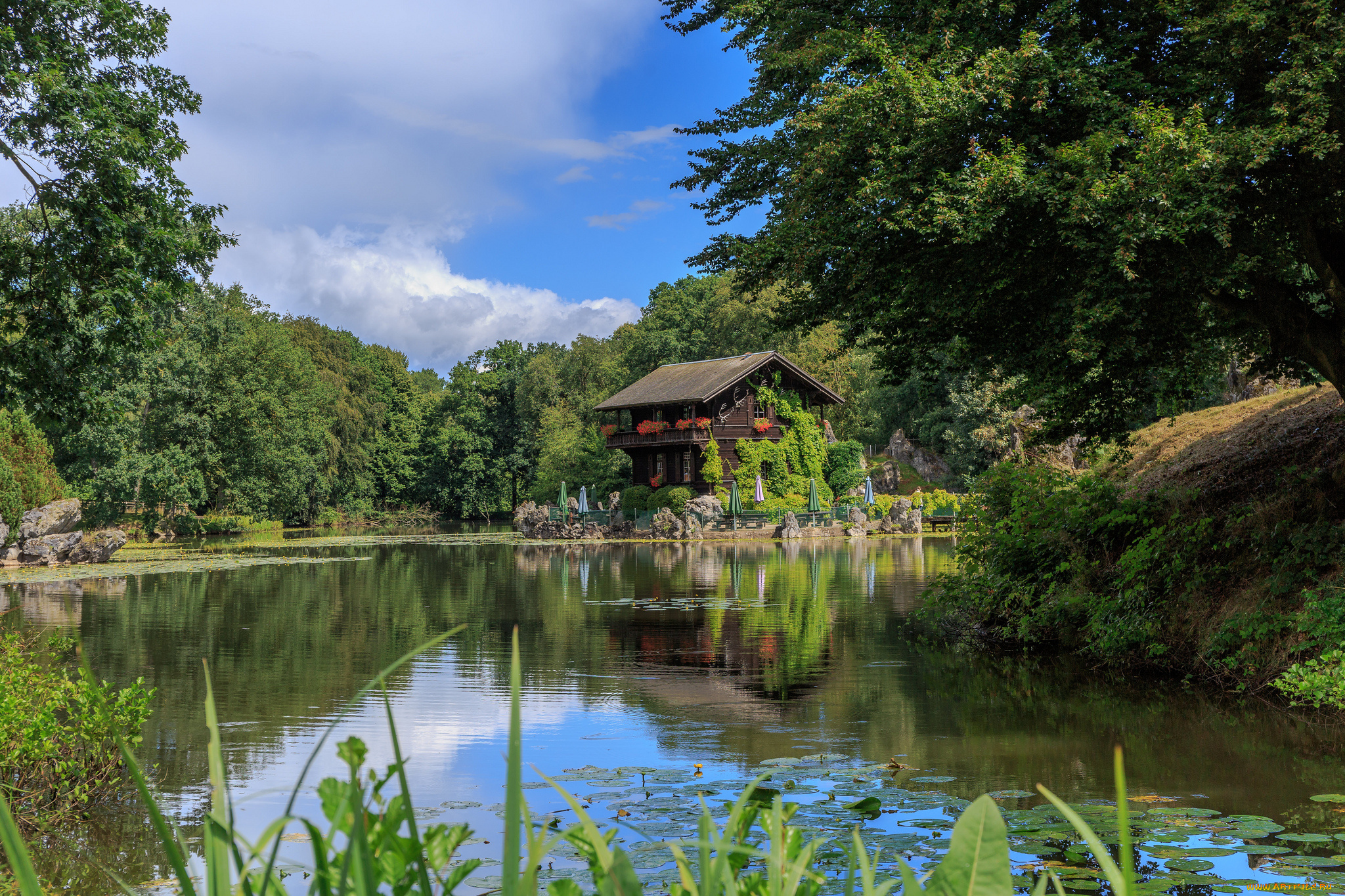 природа, реки, озера, река, лес