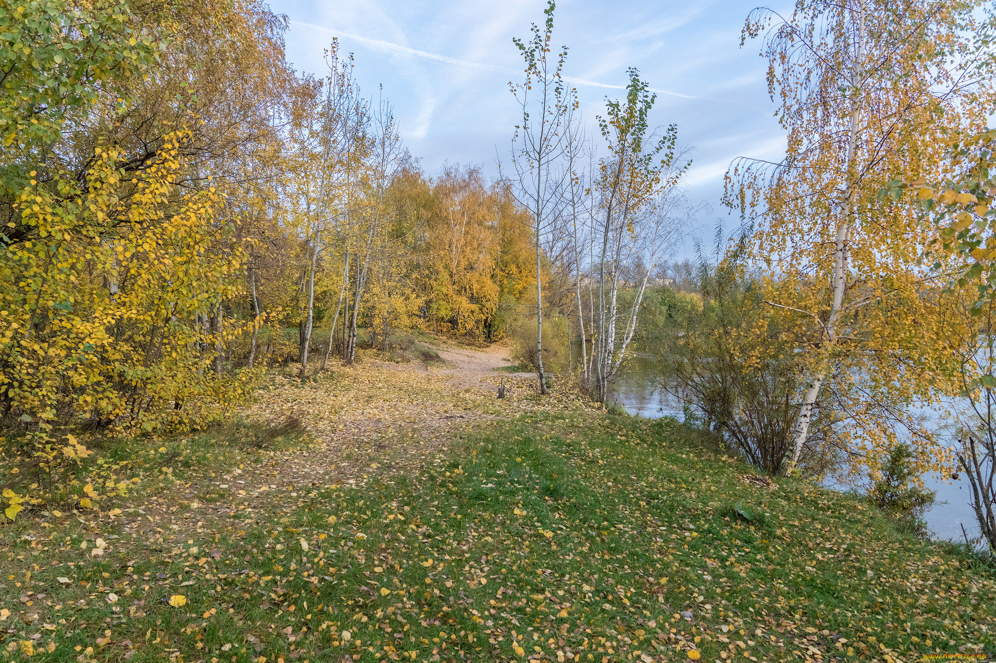 природа, реки, озера, река, лес