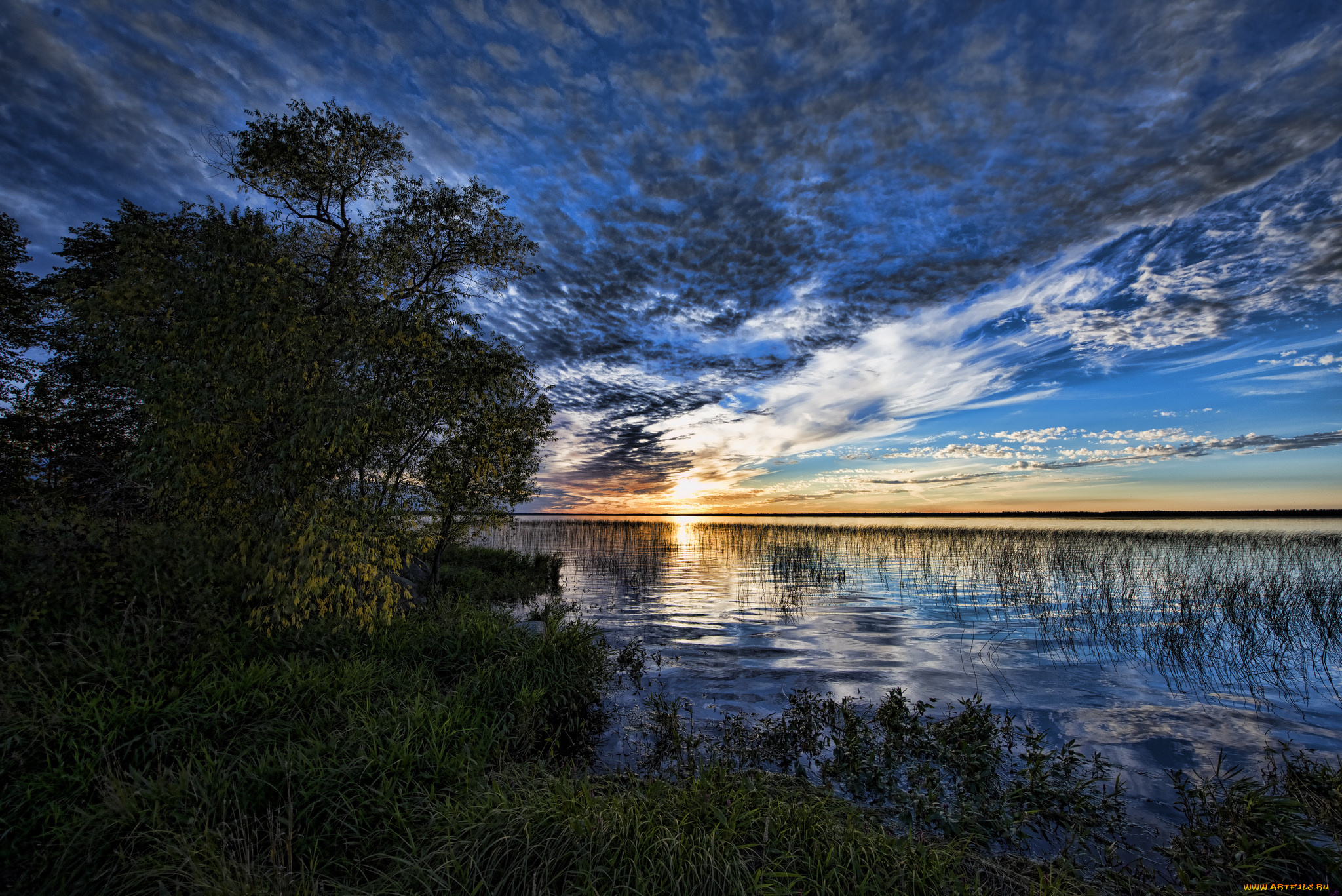 природа, реки, озера, лес, река