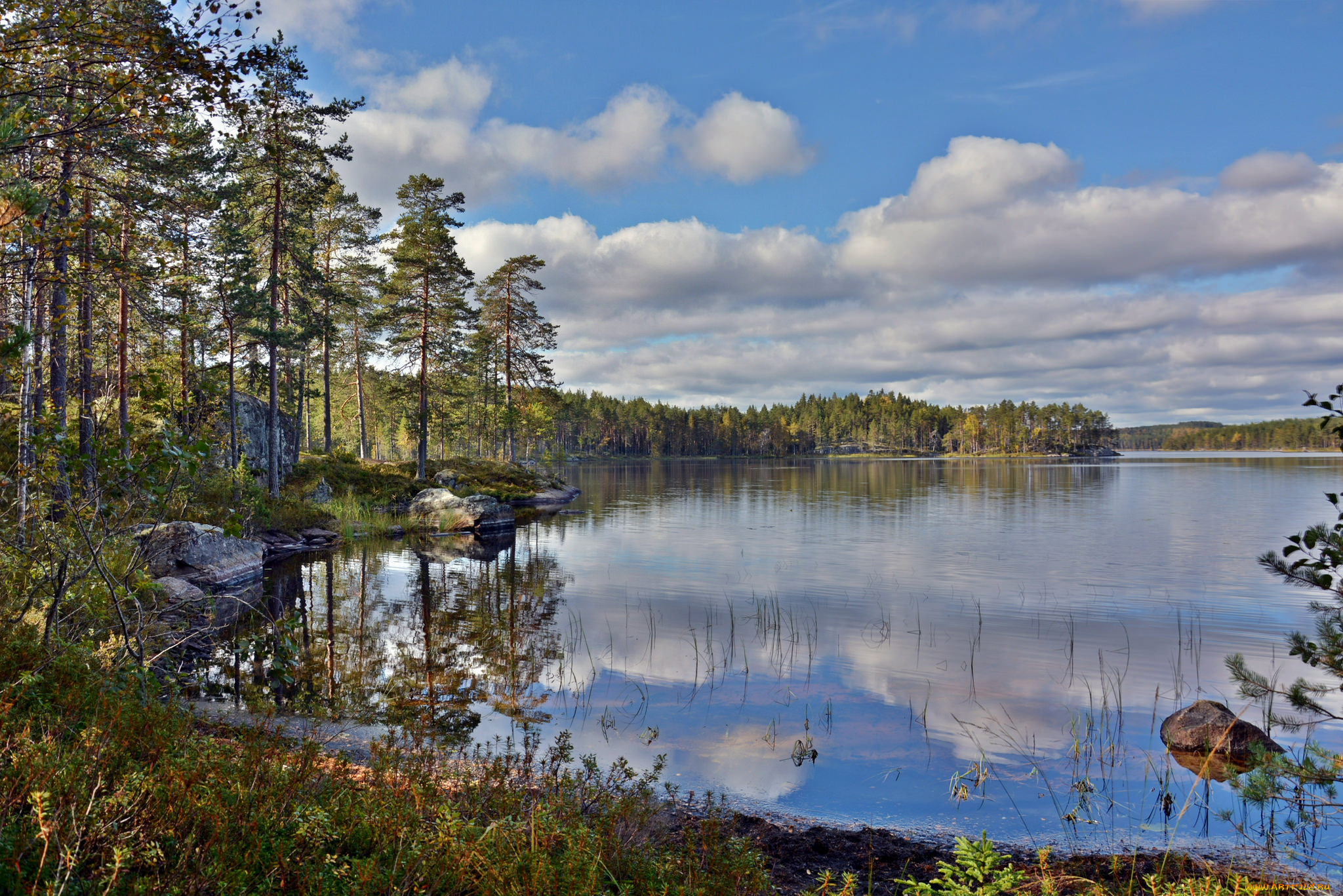 природа, реки, озера, река, лес