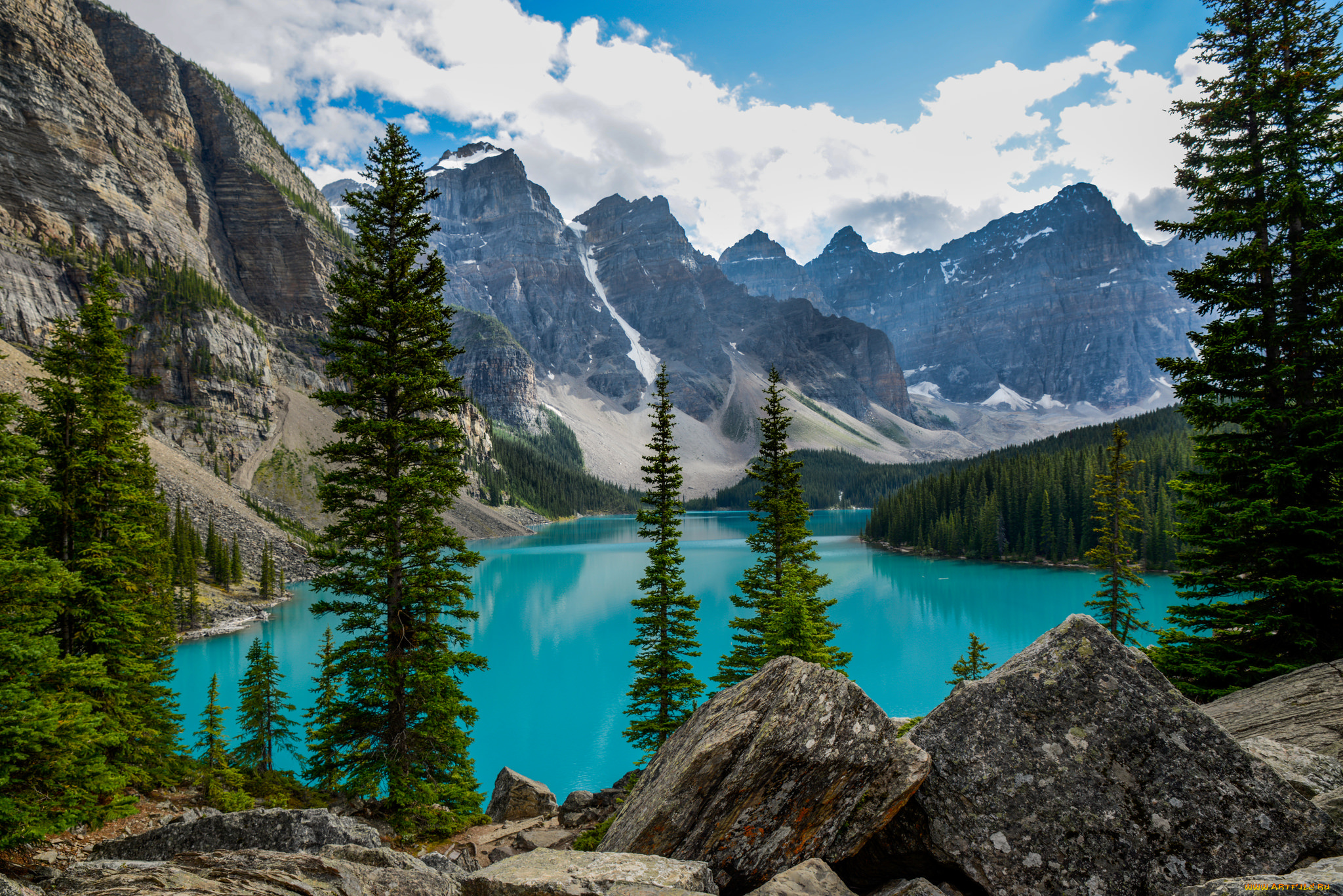 природа, реки, озера, река, лес