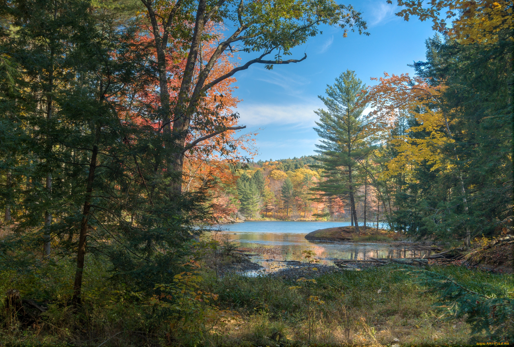 природа, реки, озера, река, лес