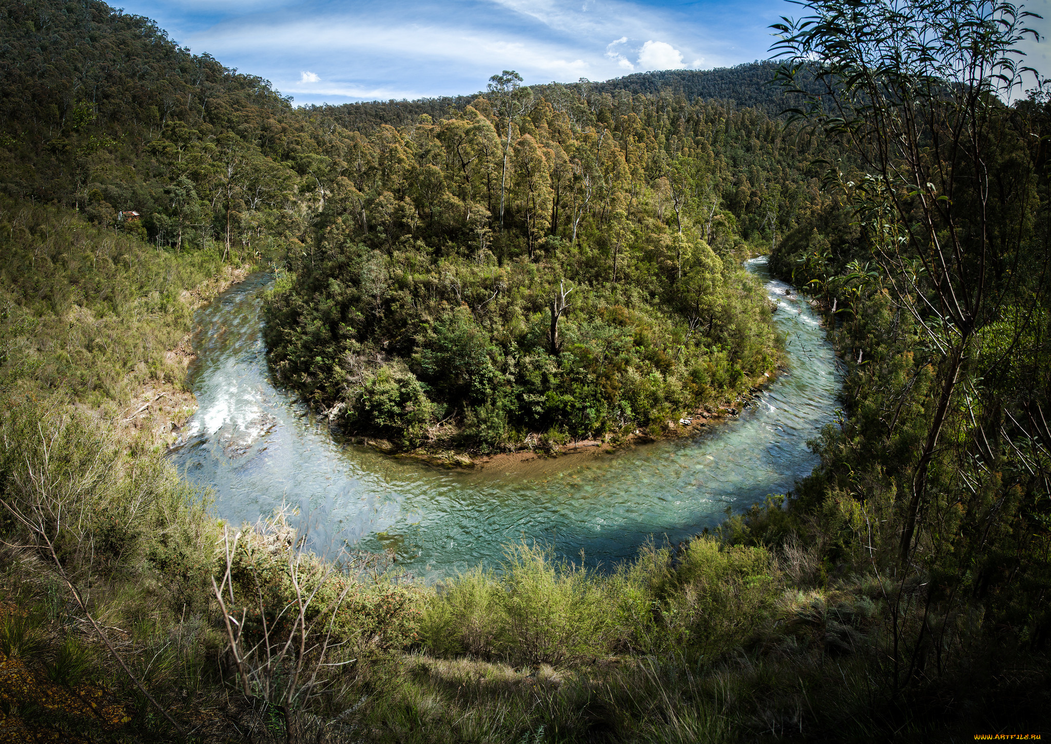 природа, реки, озера, река, лес