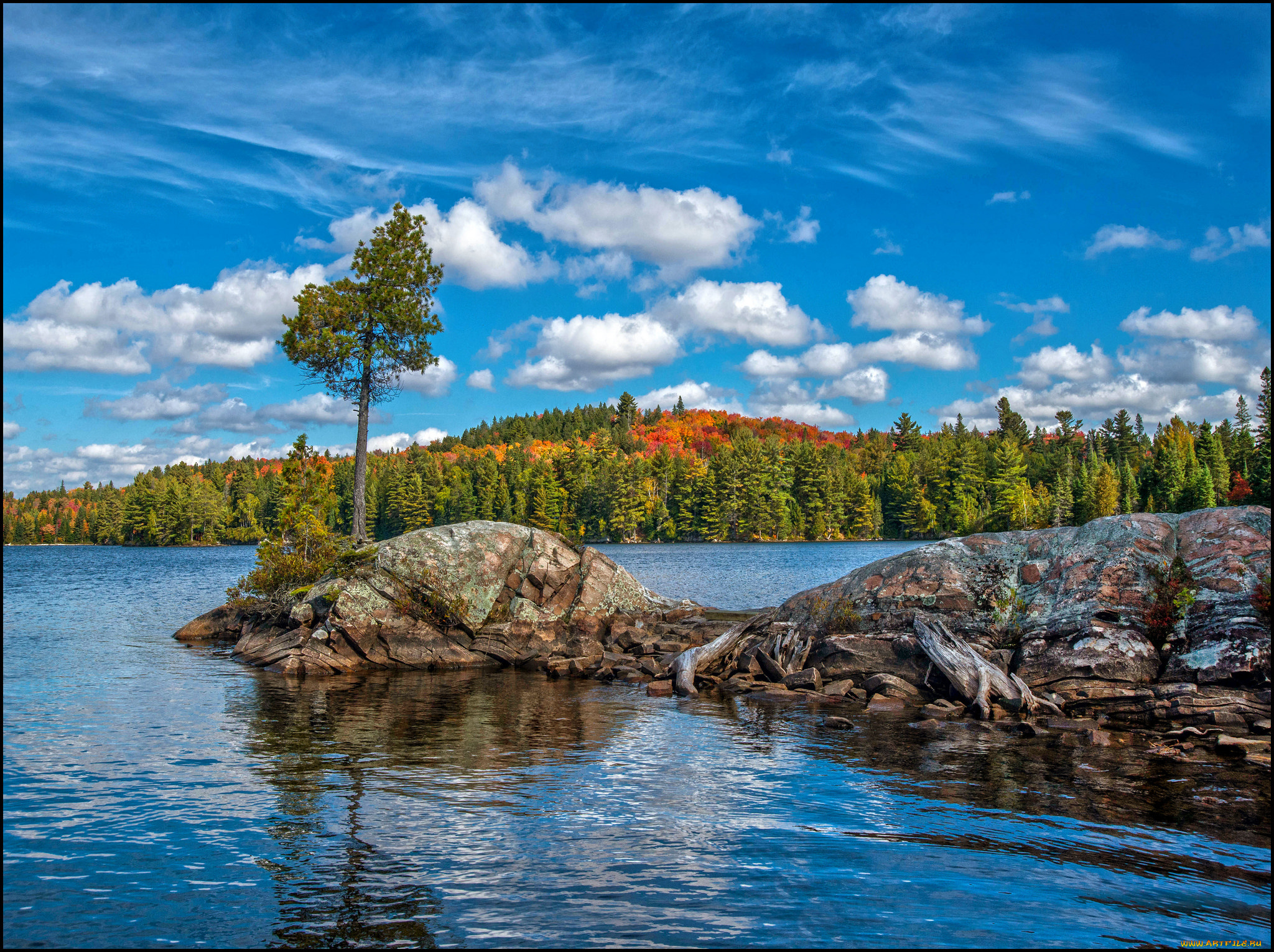 природа, реки, озера, река, лес