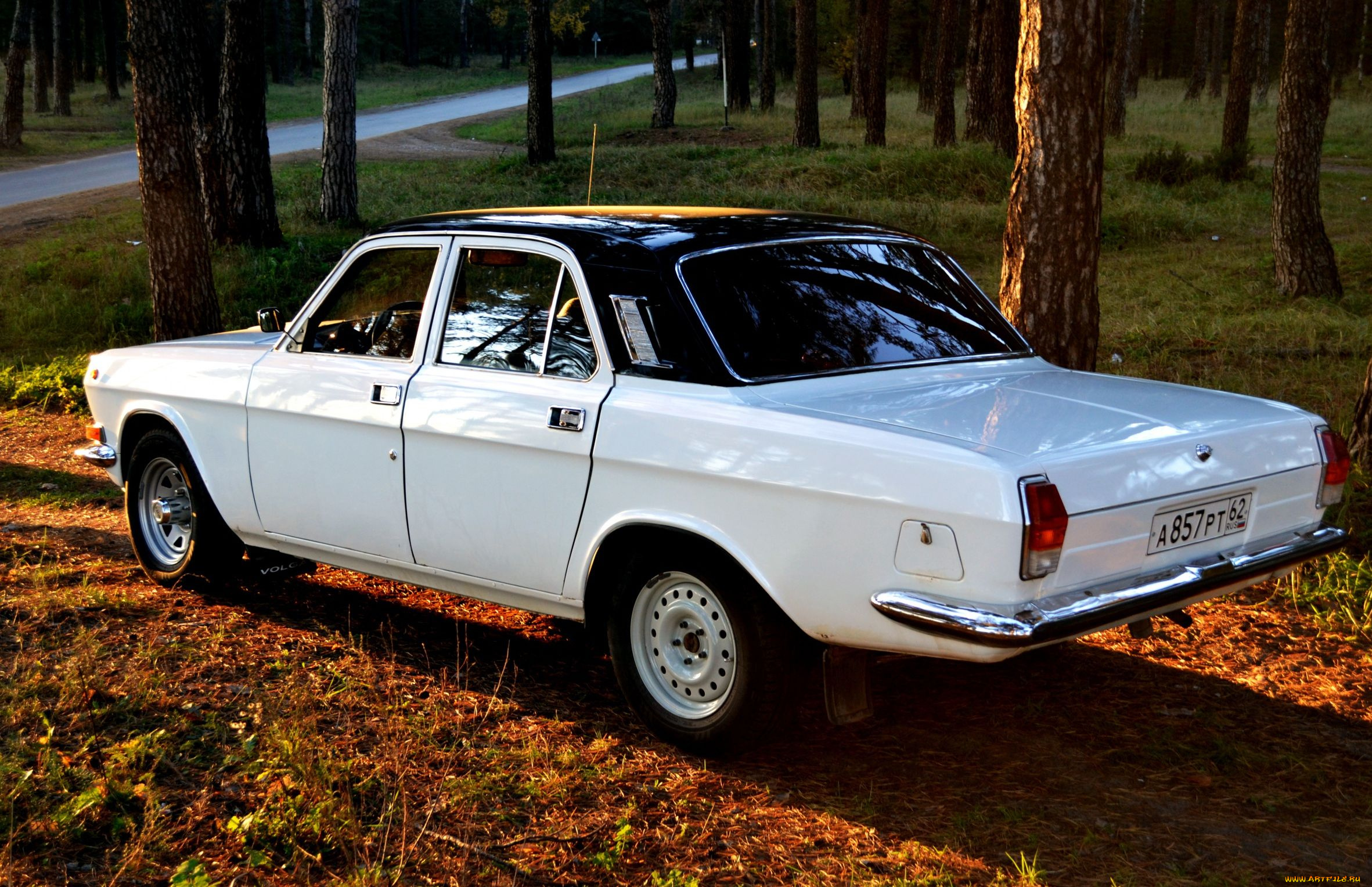 волга, автомобили, газ, 24-10