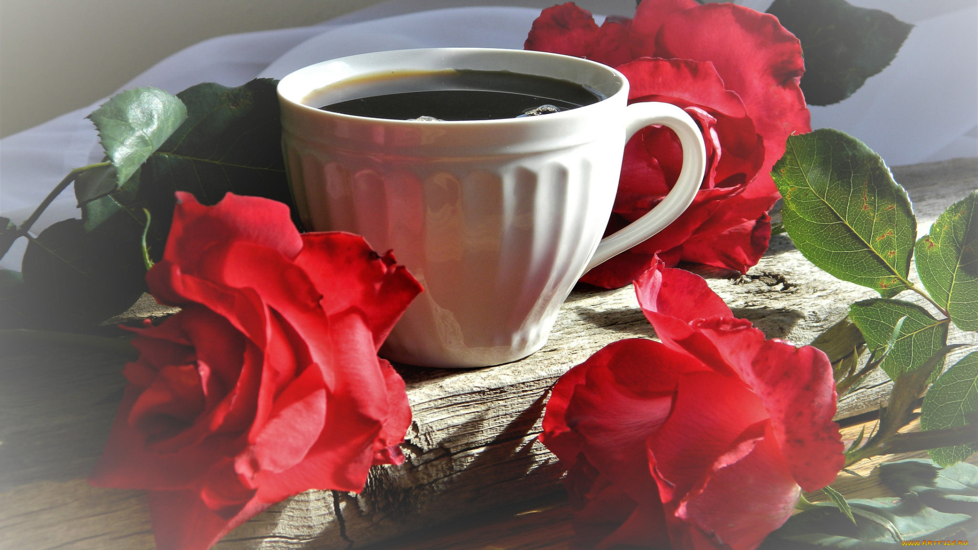 еда, кофе, , кофейные, зёрна, чашка, напиток