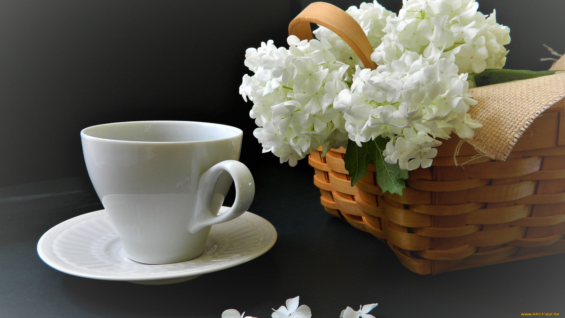 еда, кофе, , кофейные, зёрна, напиток, чашка