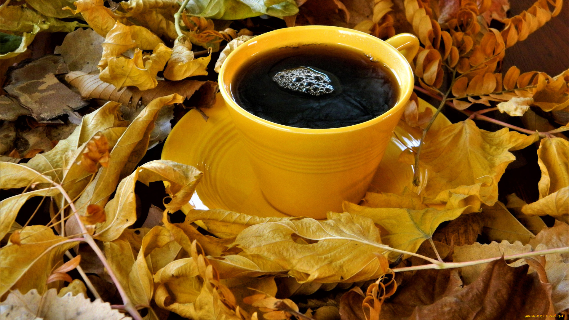 еда, кофе, , кофейные, зёрна, напиток, чашка