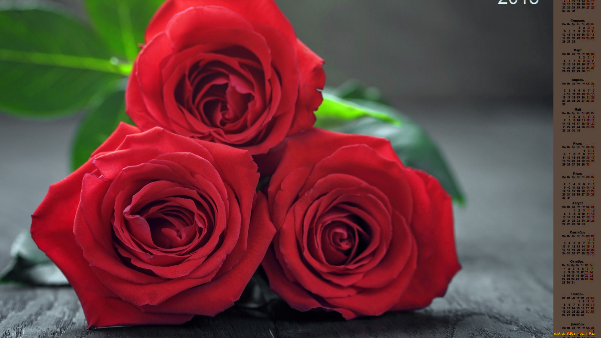 календари, цветы, букет, 2018, розы