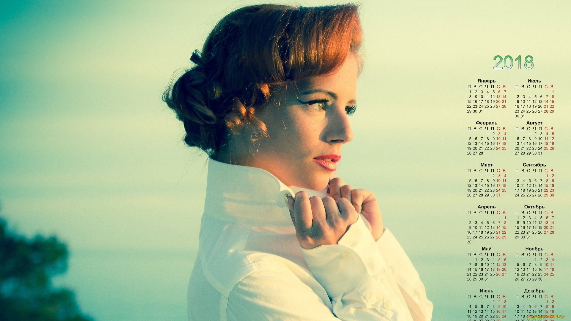 календари, девушки, 2018, взгляд, профиль