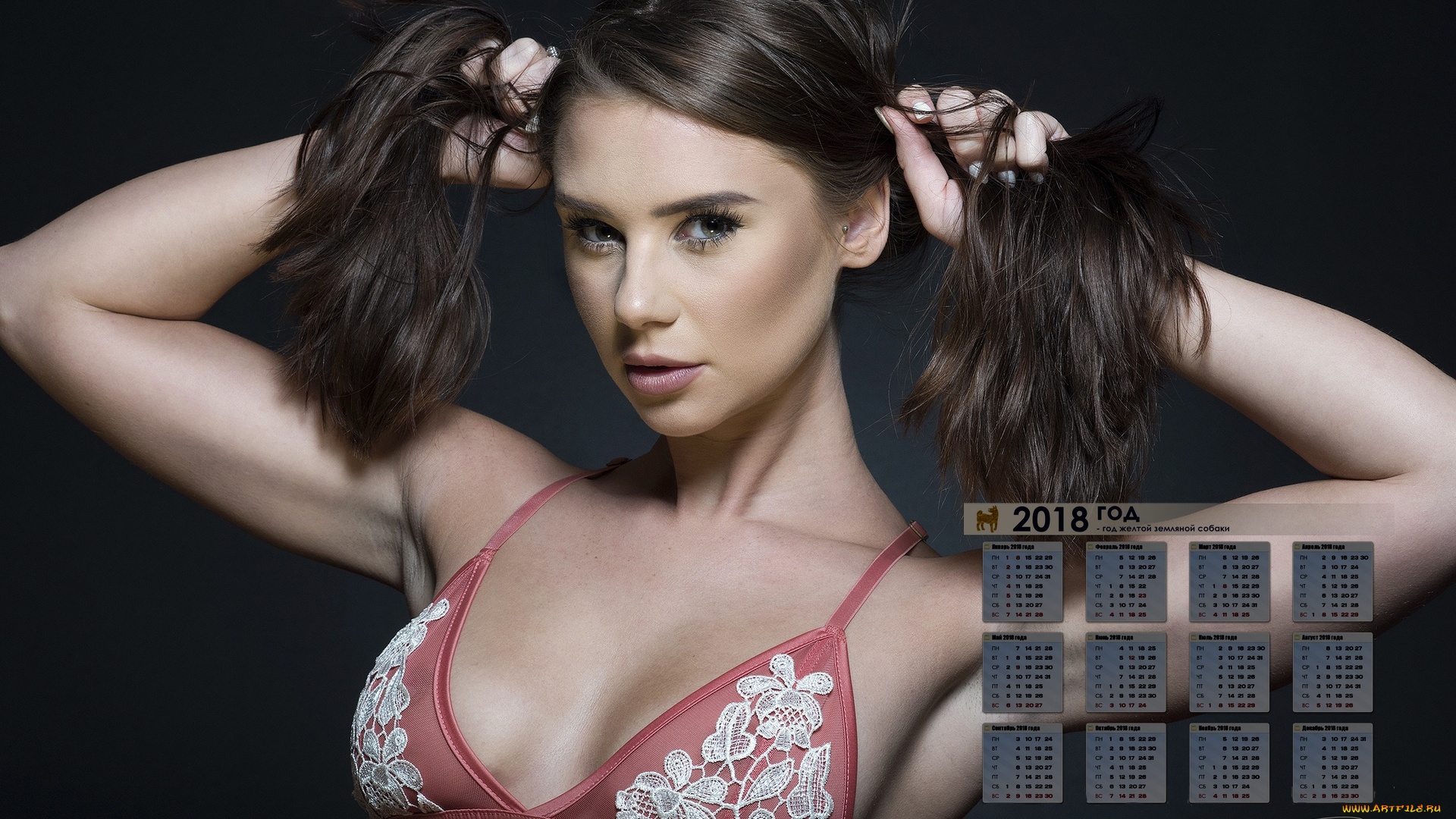 календари, девушки, взгляд, 2018