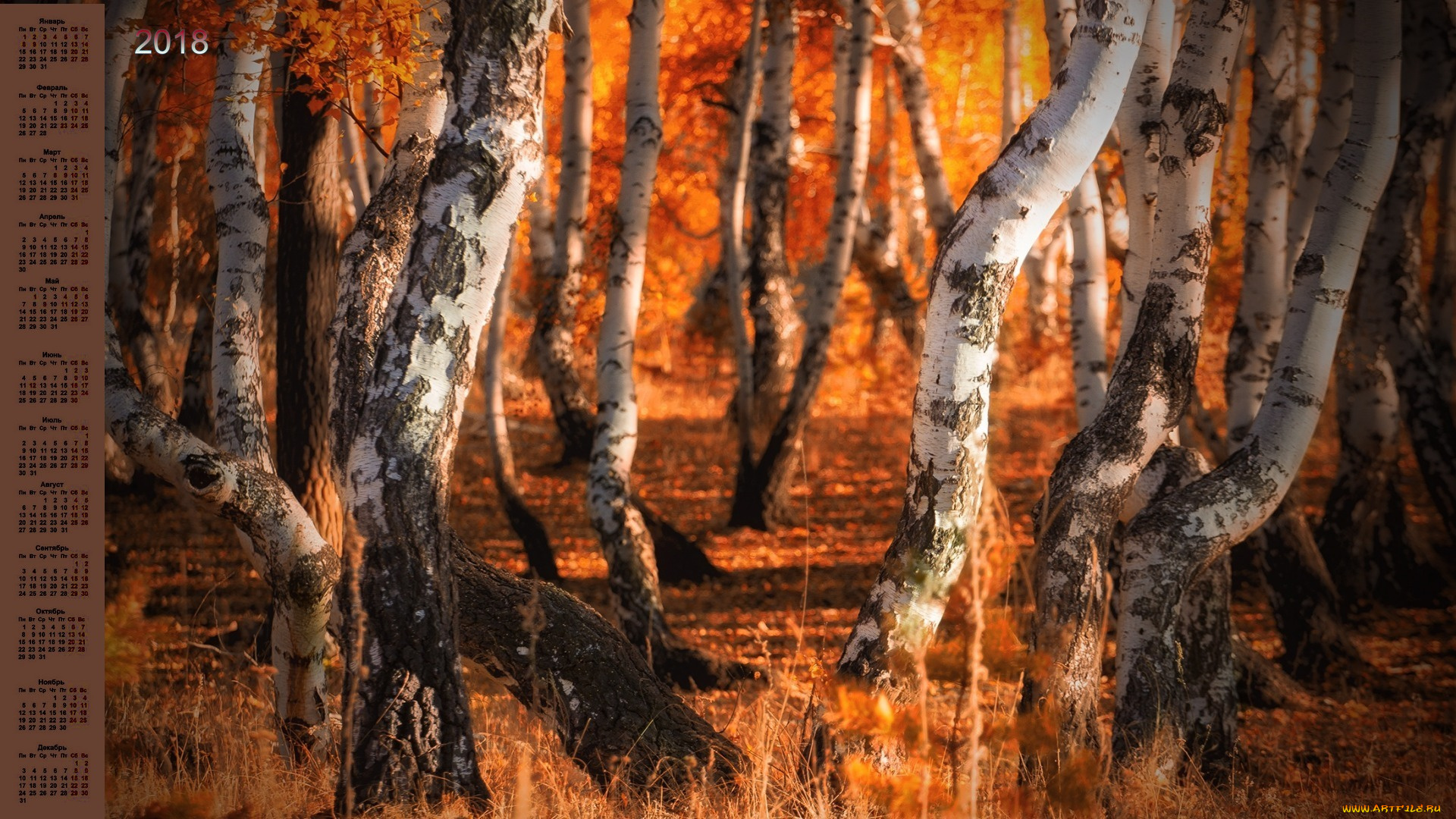 календари, природа, деревья, береза, 2018