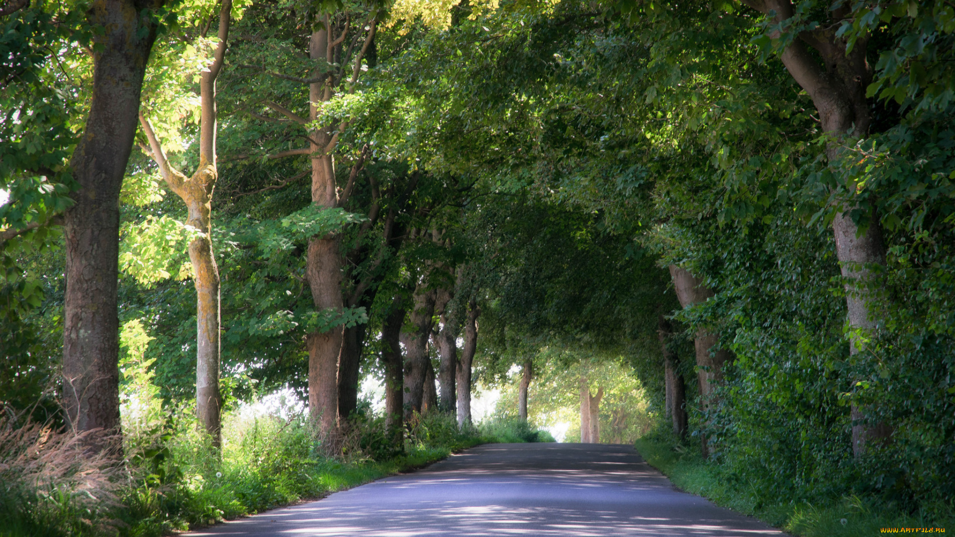 природа, дороги, простор