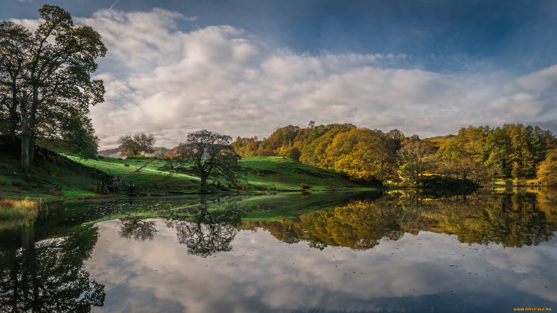 природа, реки, озера, камбрия, англия, деревья, осень, озеро