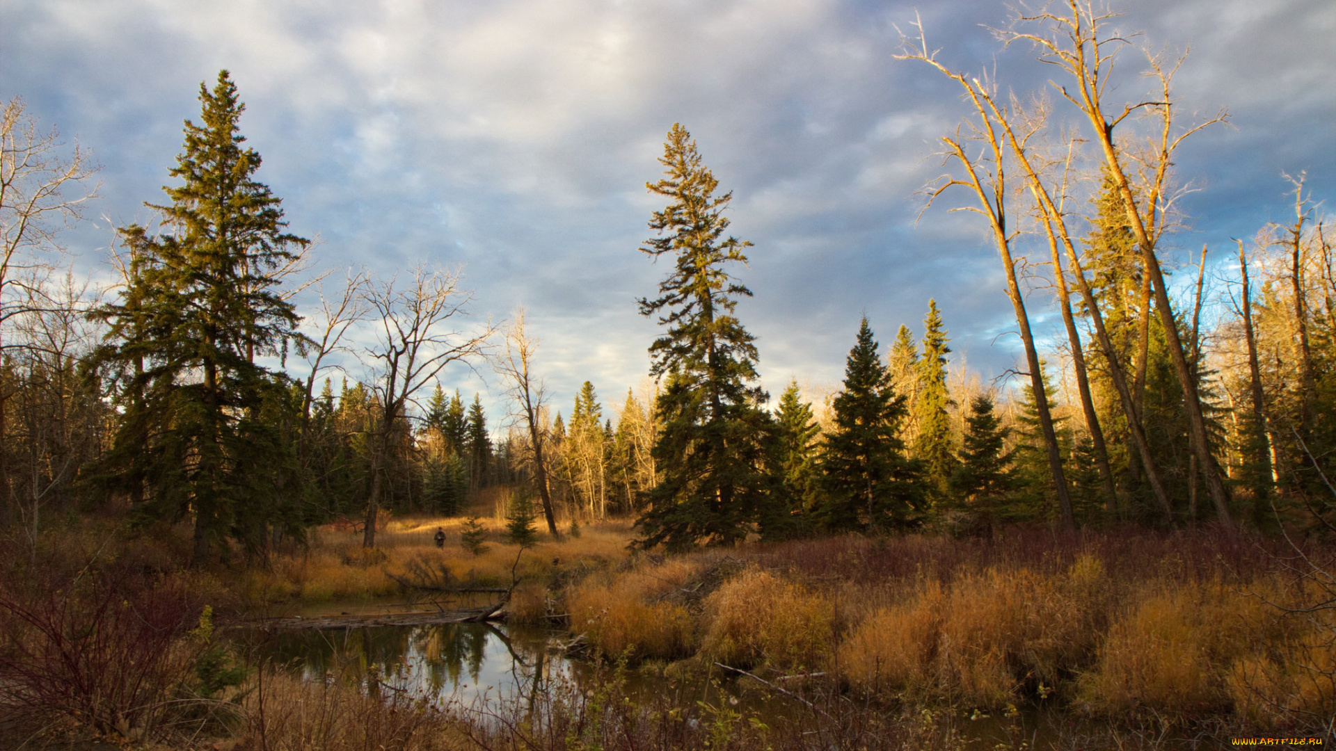 природа, реки, озера, простор