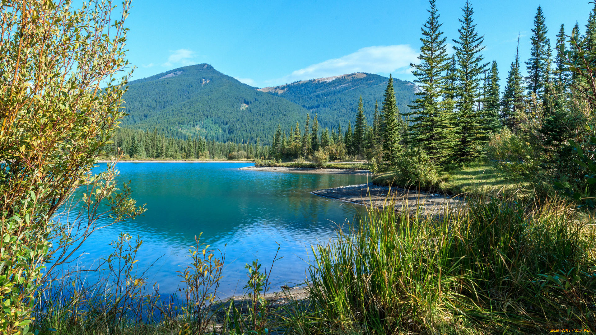 природа, реки, озера, простор