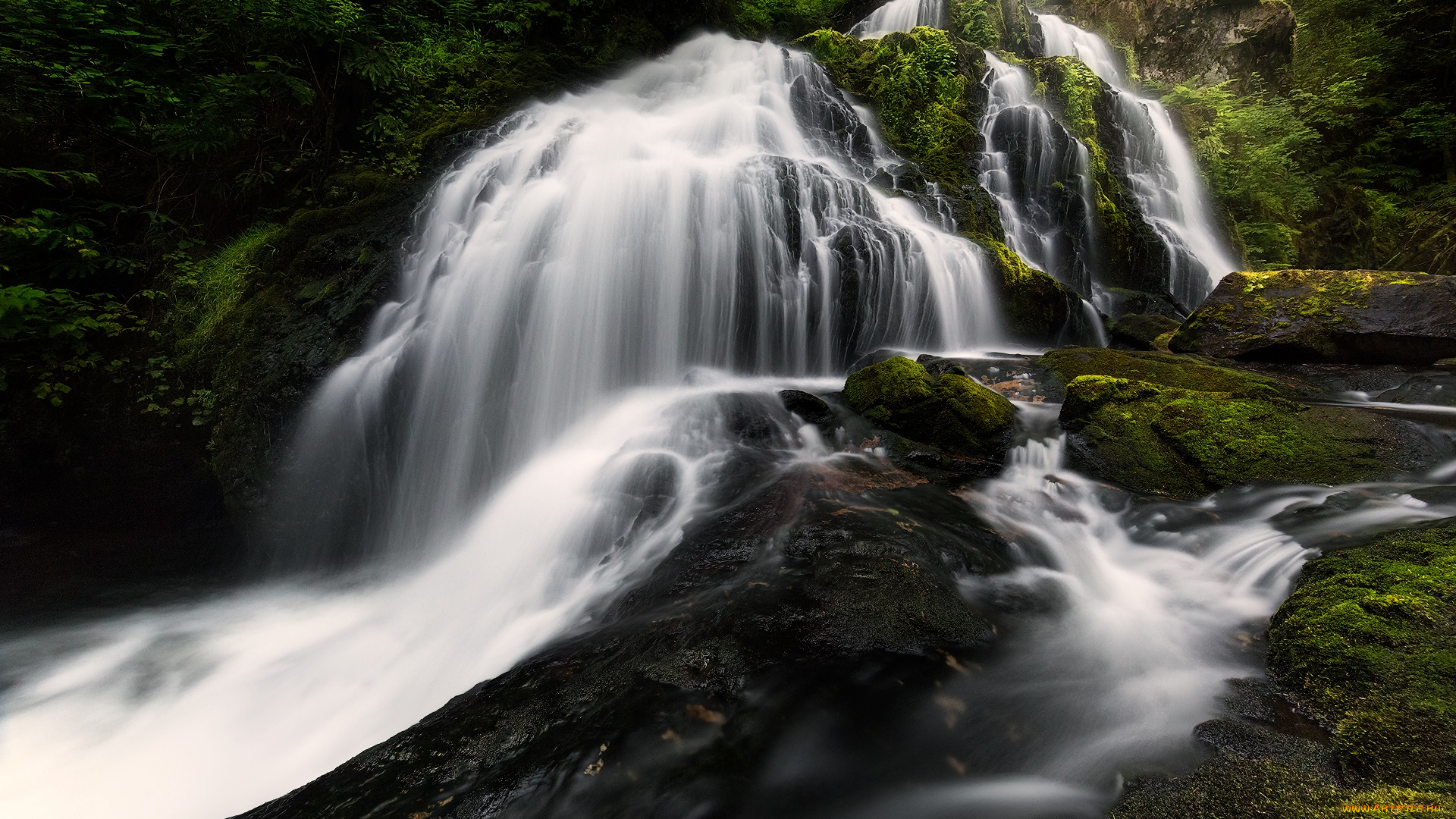 природа, водопады, река, водопад, лес