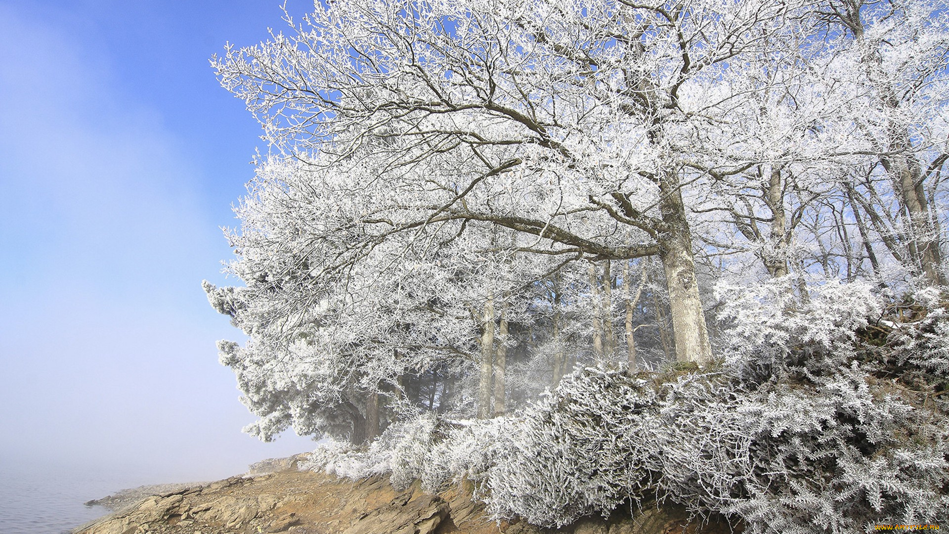 природа, зима, простор