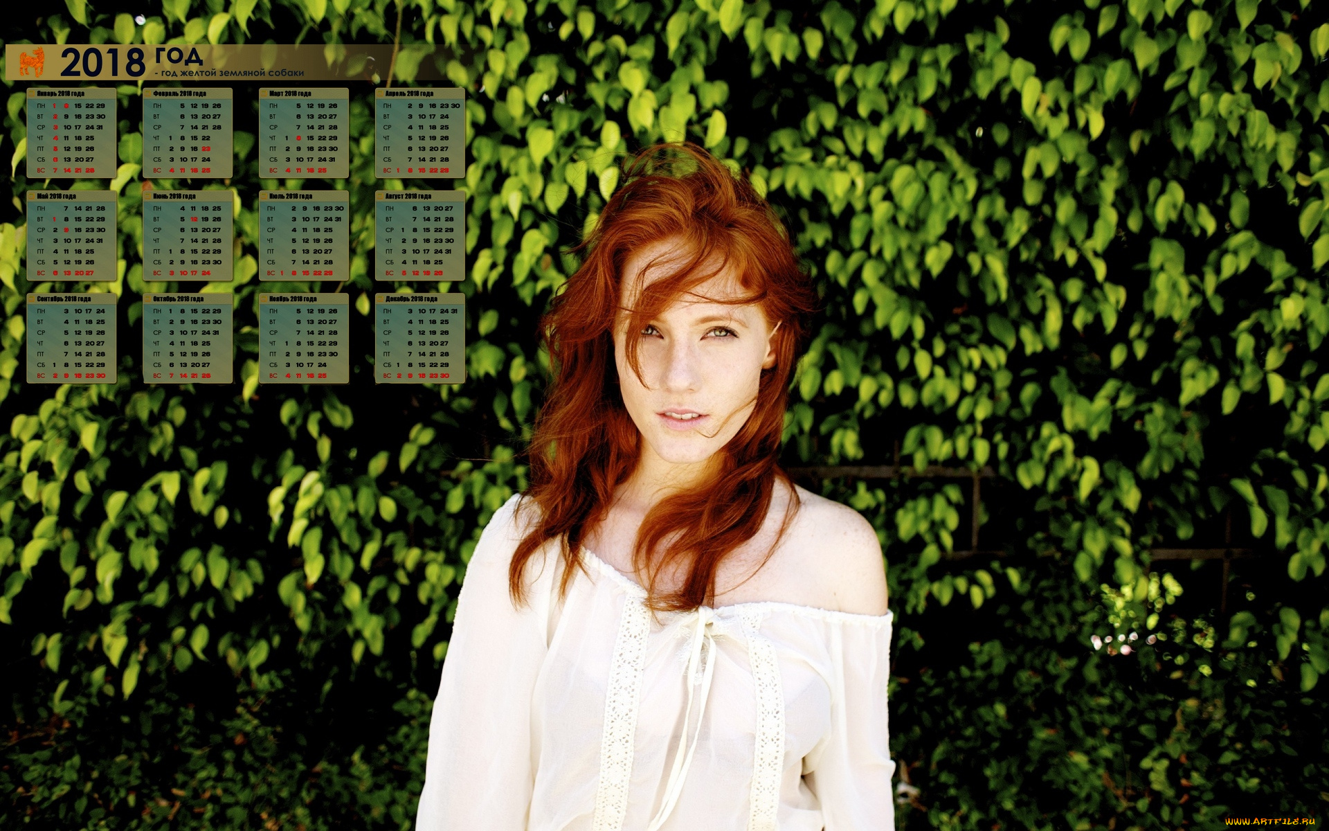 календари, девушки, растения, взгляд, 2018