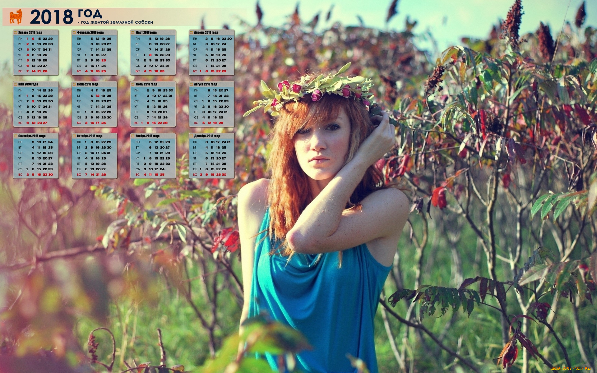 календари, девушки, венок, взгляд, 2018, растения
