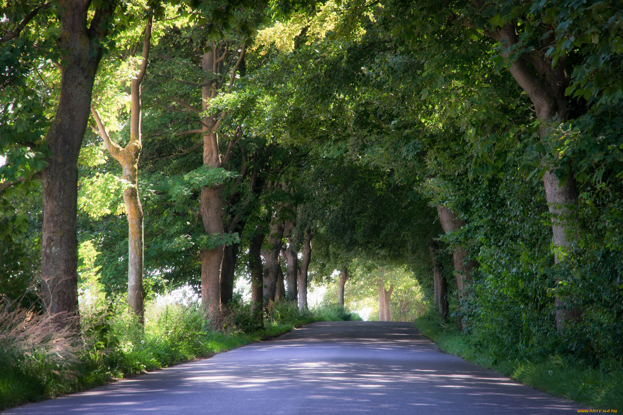 природа, дороги, простор