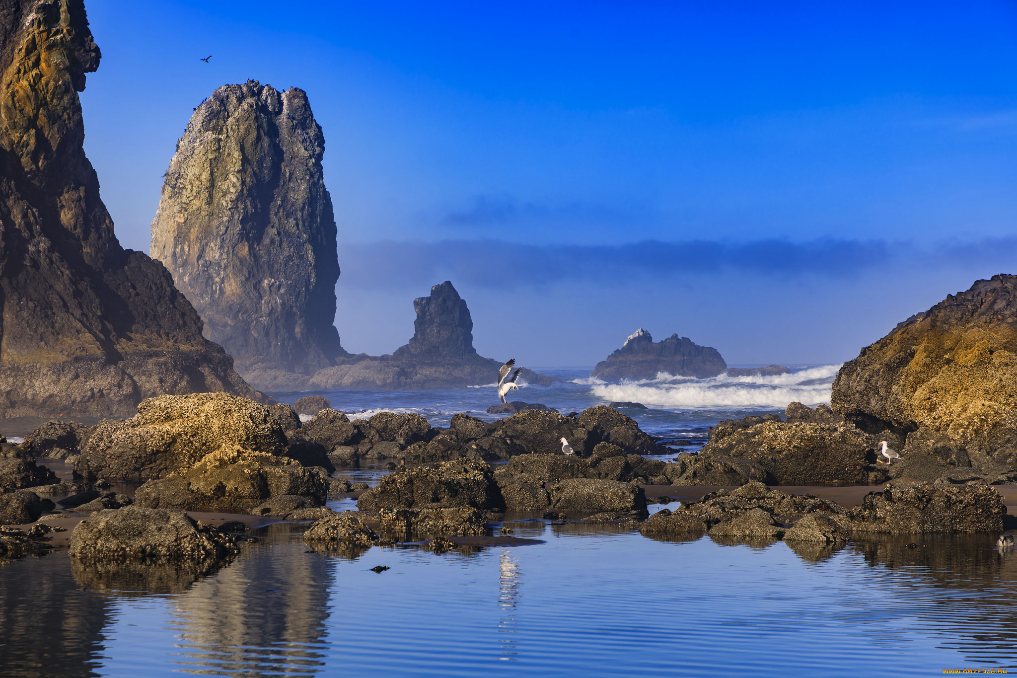 природа, реки, озера, простор