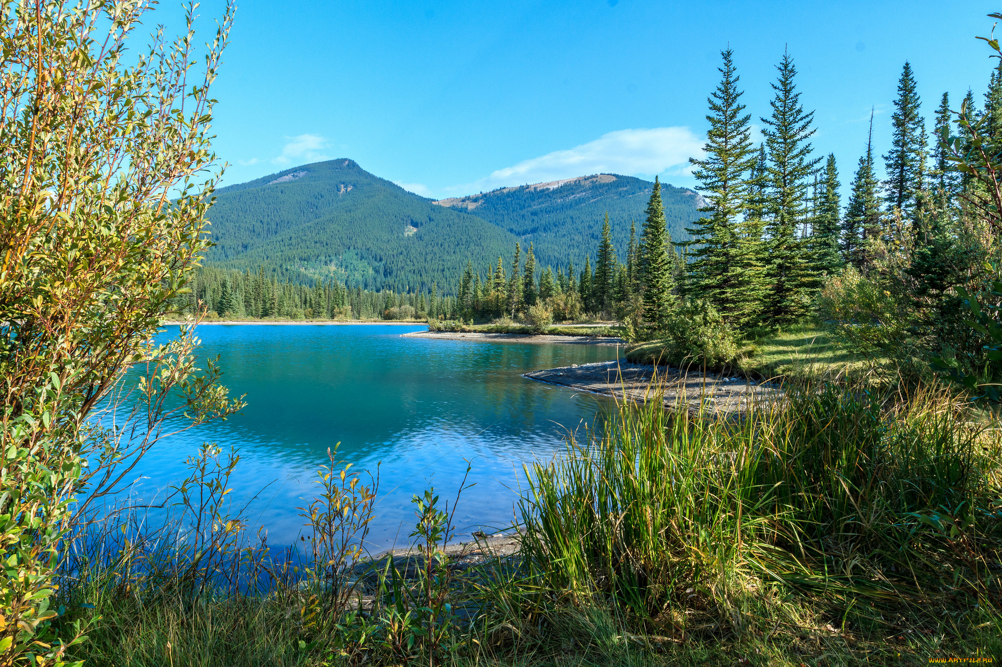 природа, реки, озера, простор