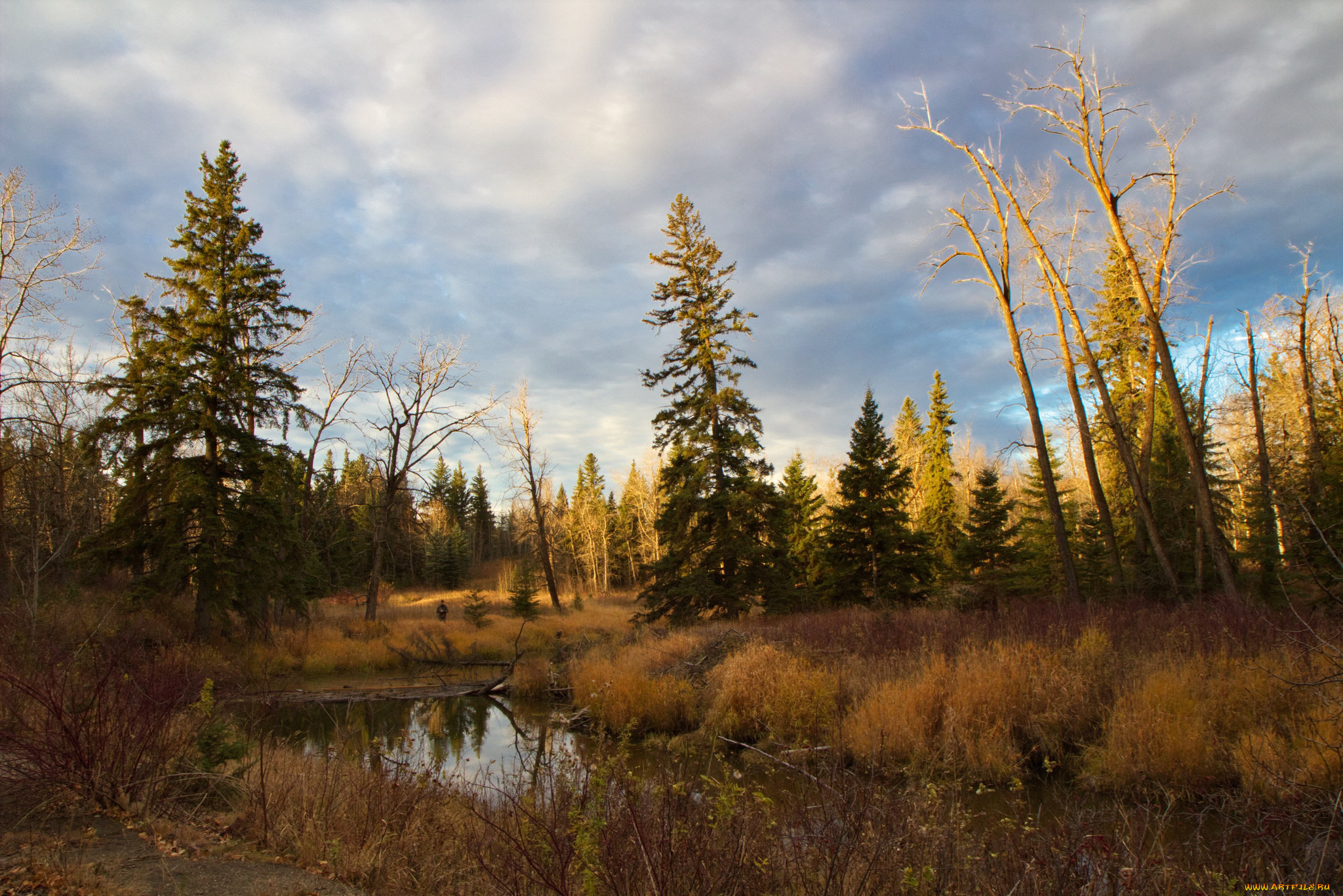природа, реки, озера, простор