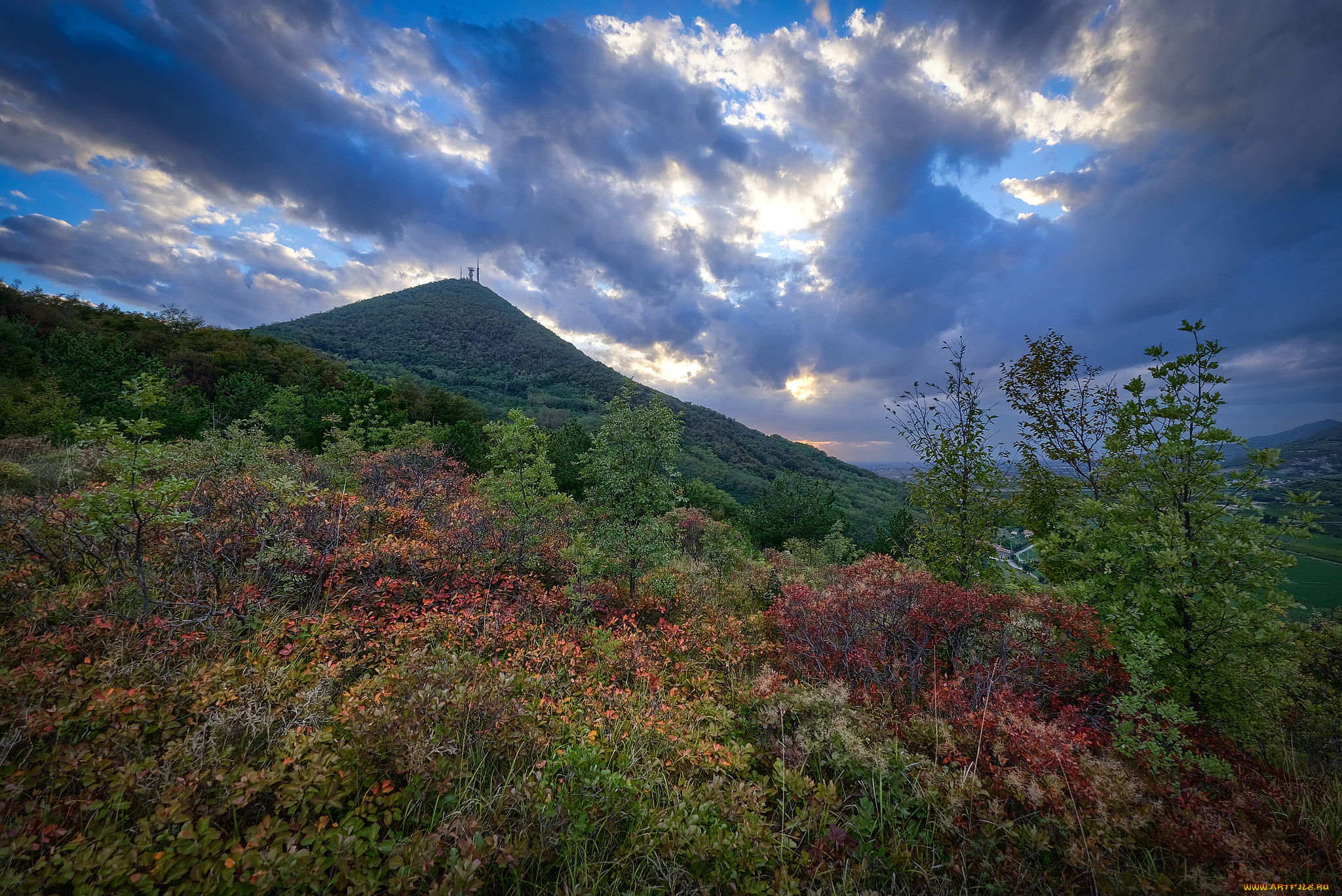 природа, пейзажи, простор