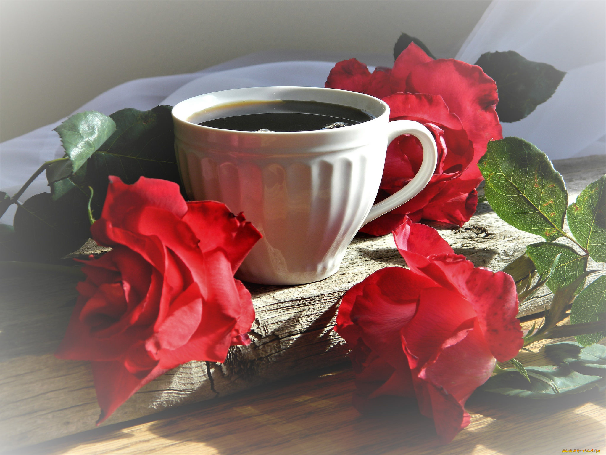 еда, кофе, , кофейные, зёрна, чашка, напиток