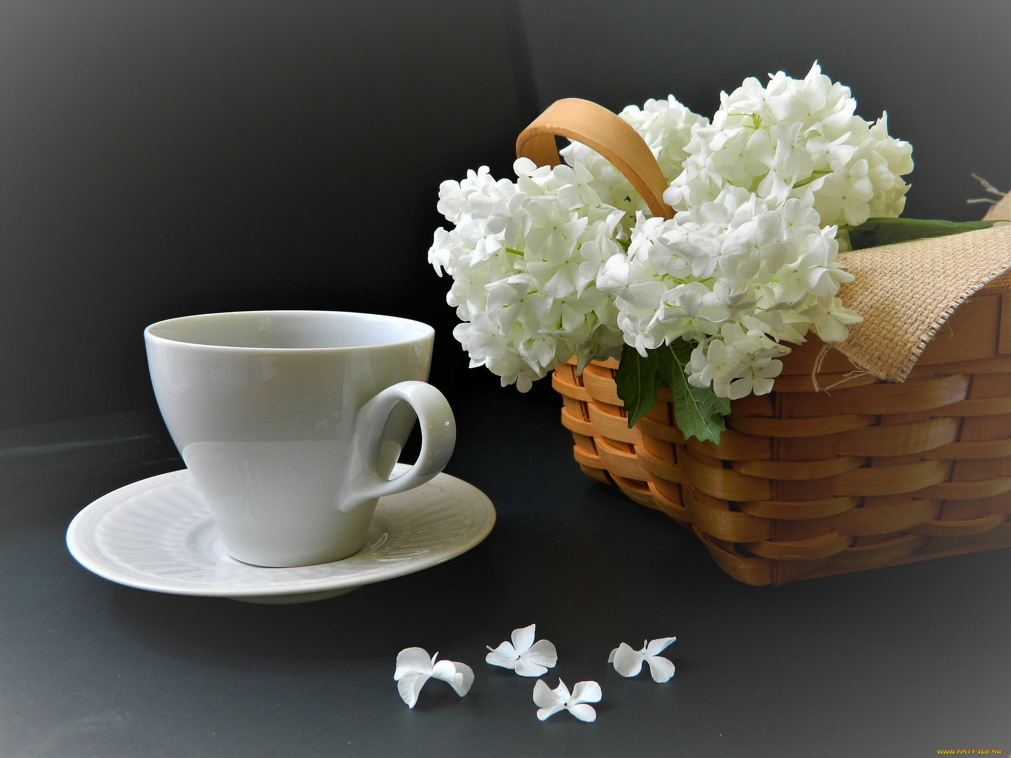 еда, кофе, , кофейные, зёрна, напиток, чашка