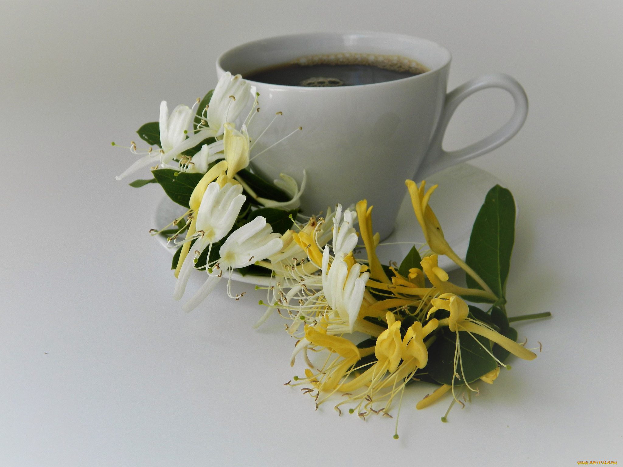 еда, кофе, , кофейные, зёрна, напиток, чашка