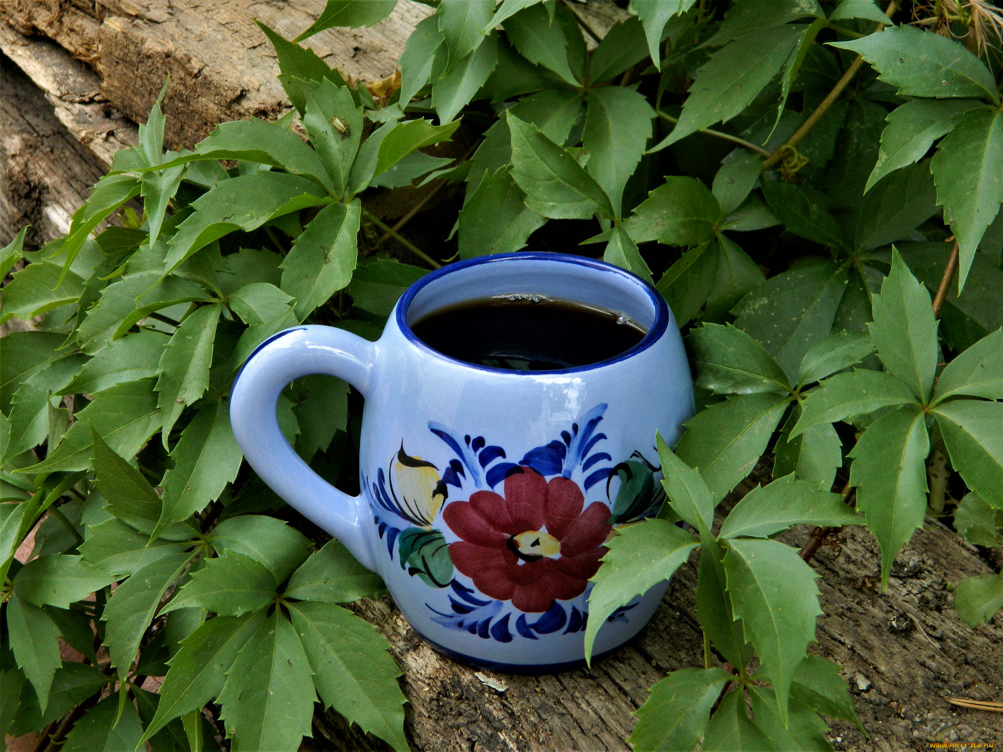 еда, кофе, , кофейные, зёрна, напиток, чашка