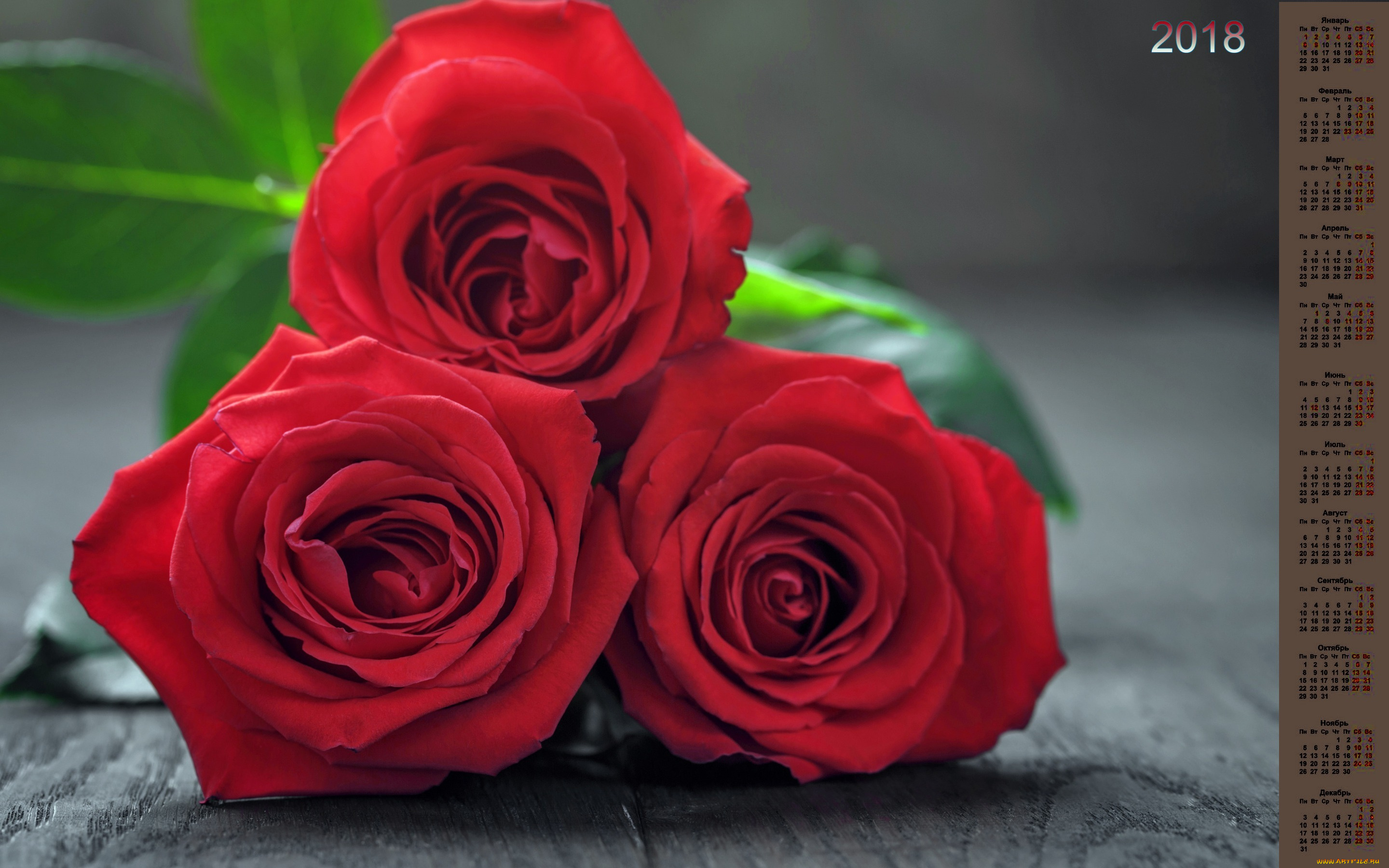календари, цветы, букет, 2018, розы