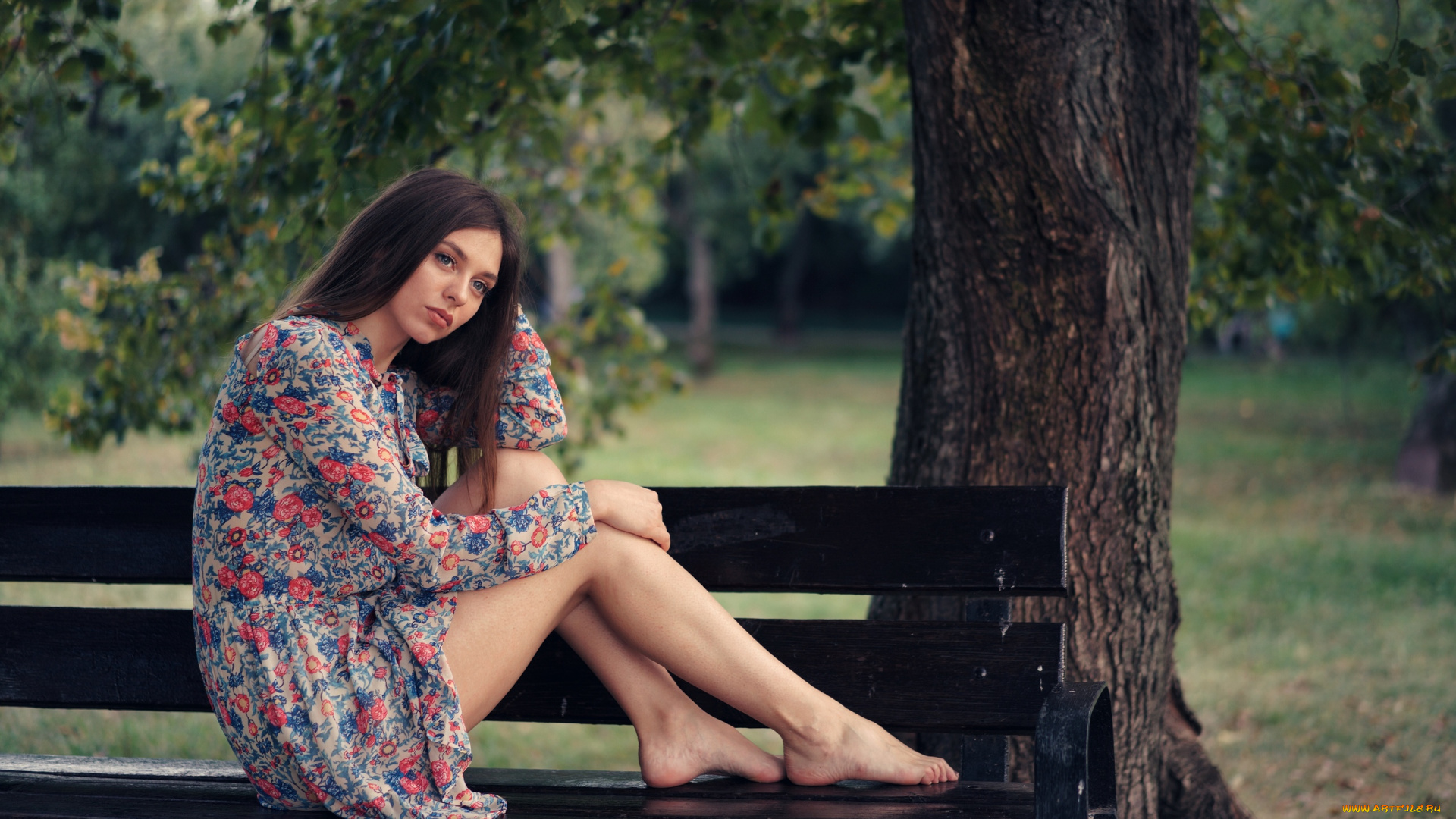 девушка, девушки, -unsort, , брюнетки, темноволосые, модель